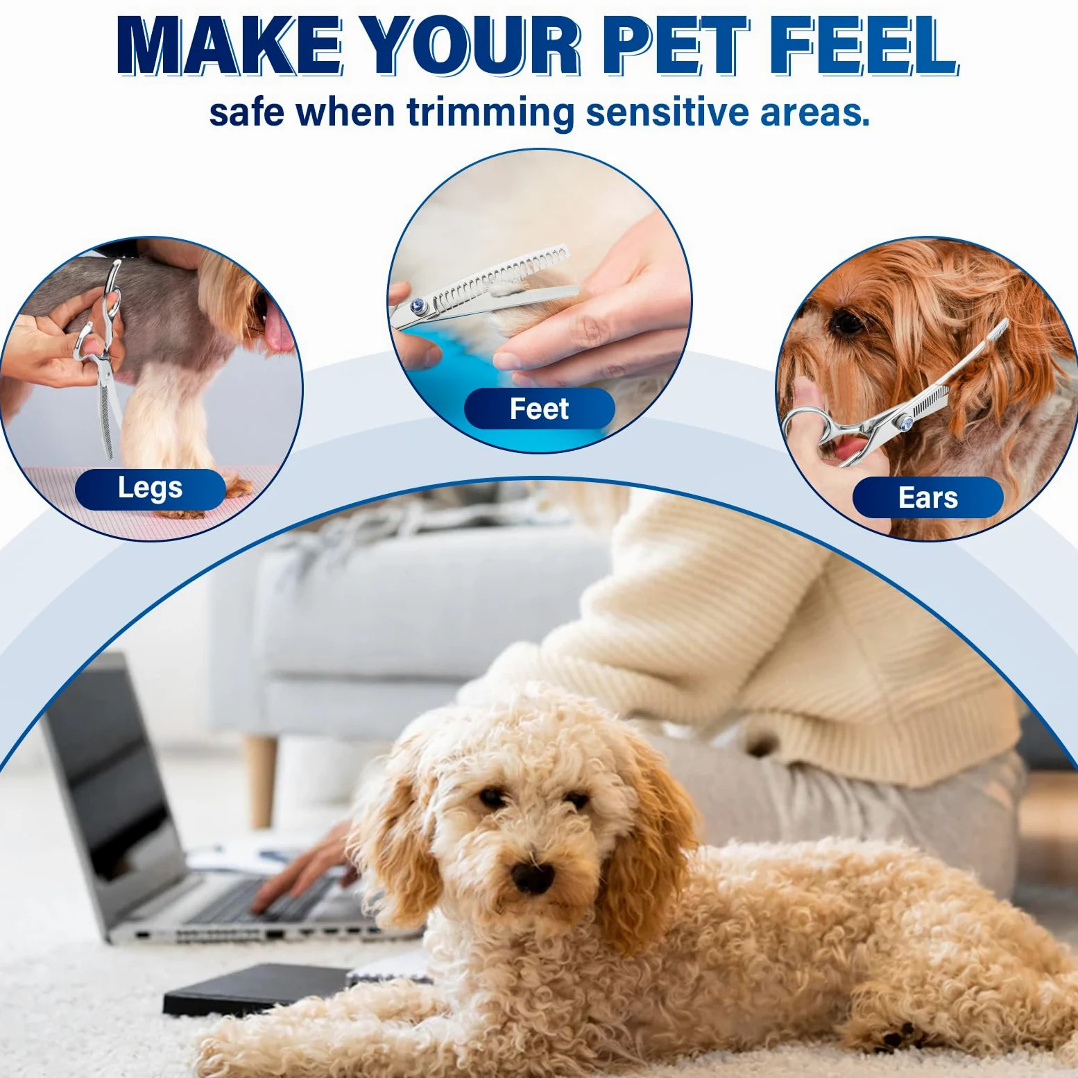 JASON Ciseaux de toilettage incurvés pour chien – 17,8 cm – Argent – Acier inoxydable 440C – Ciseaux professionnels pour toiletteur