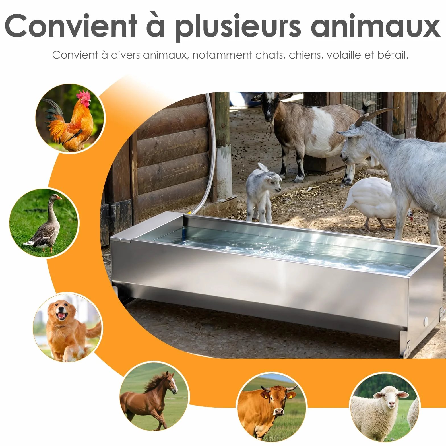 Bac à Abreuvoir Automatique 50 litres avec Flotteur 1/2 Pouce et Kit de Connexion pour Chevaux Chèvres Bœufs