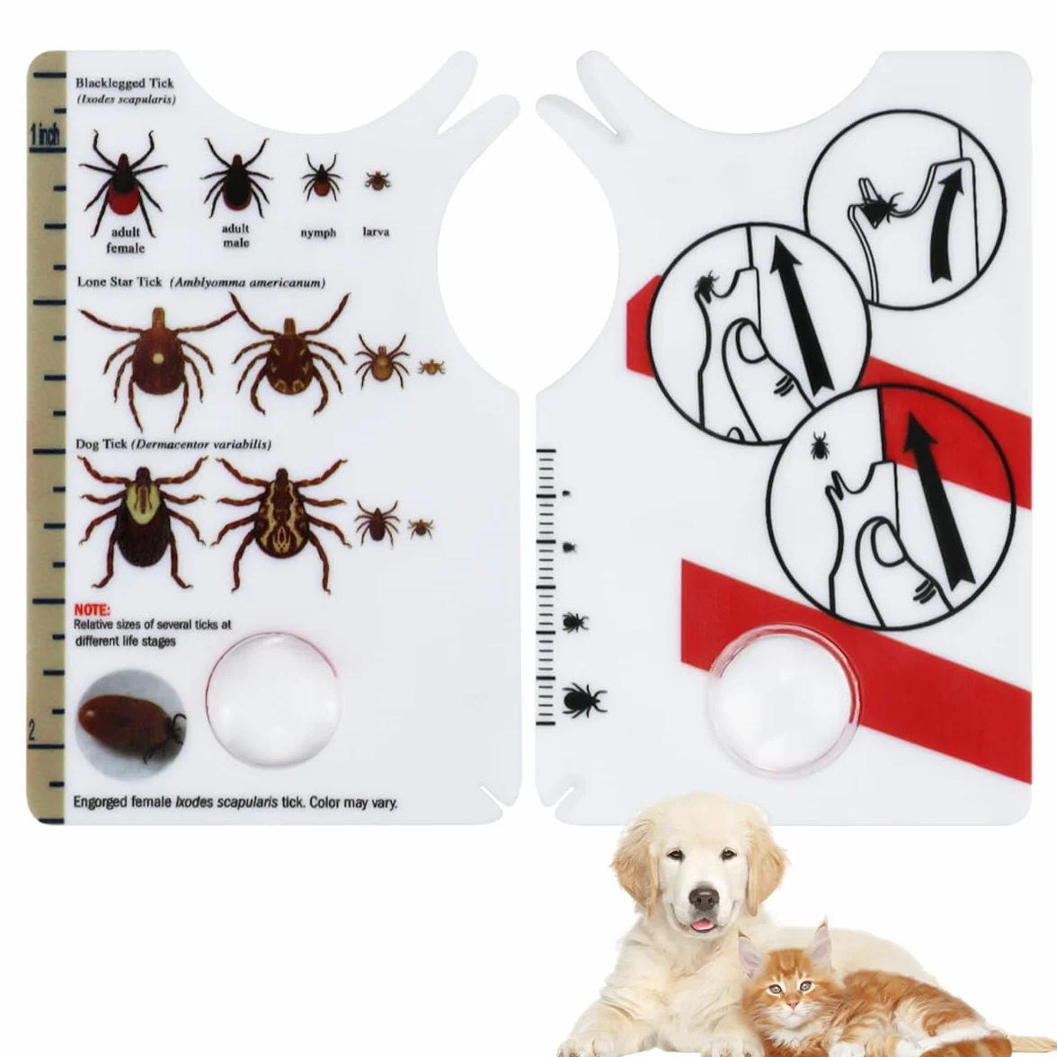 Portable Tire-Tique avec Loupe, Carte de Retrait de Tiques pour Animaux et Humains, 2 Pièces