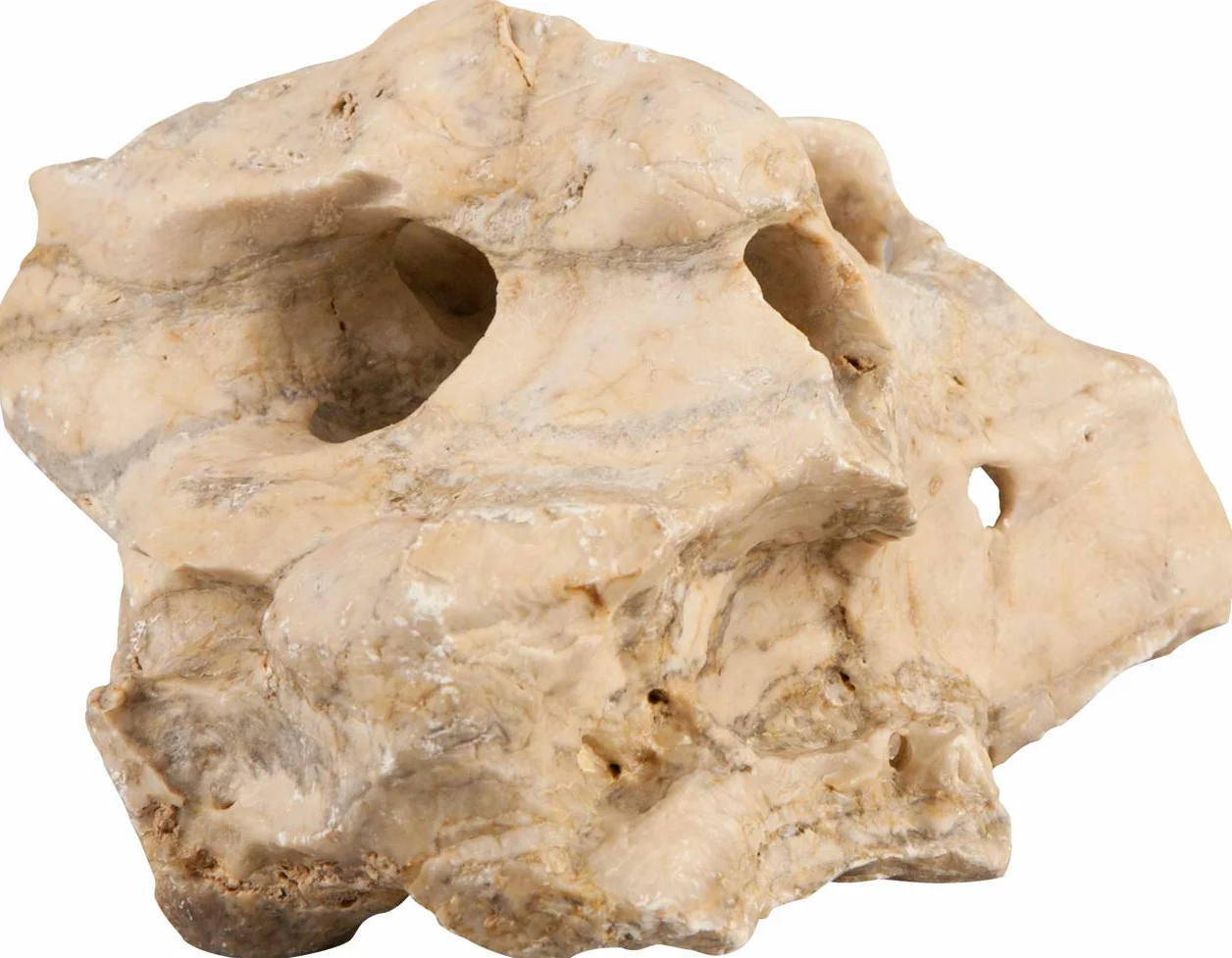 Sera Rock Hole Stone Taille S/M Décoration 0,6 – 1,4 Kg 1 Unité