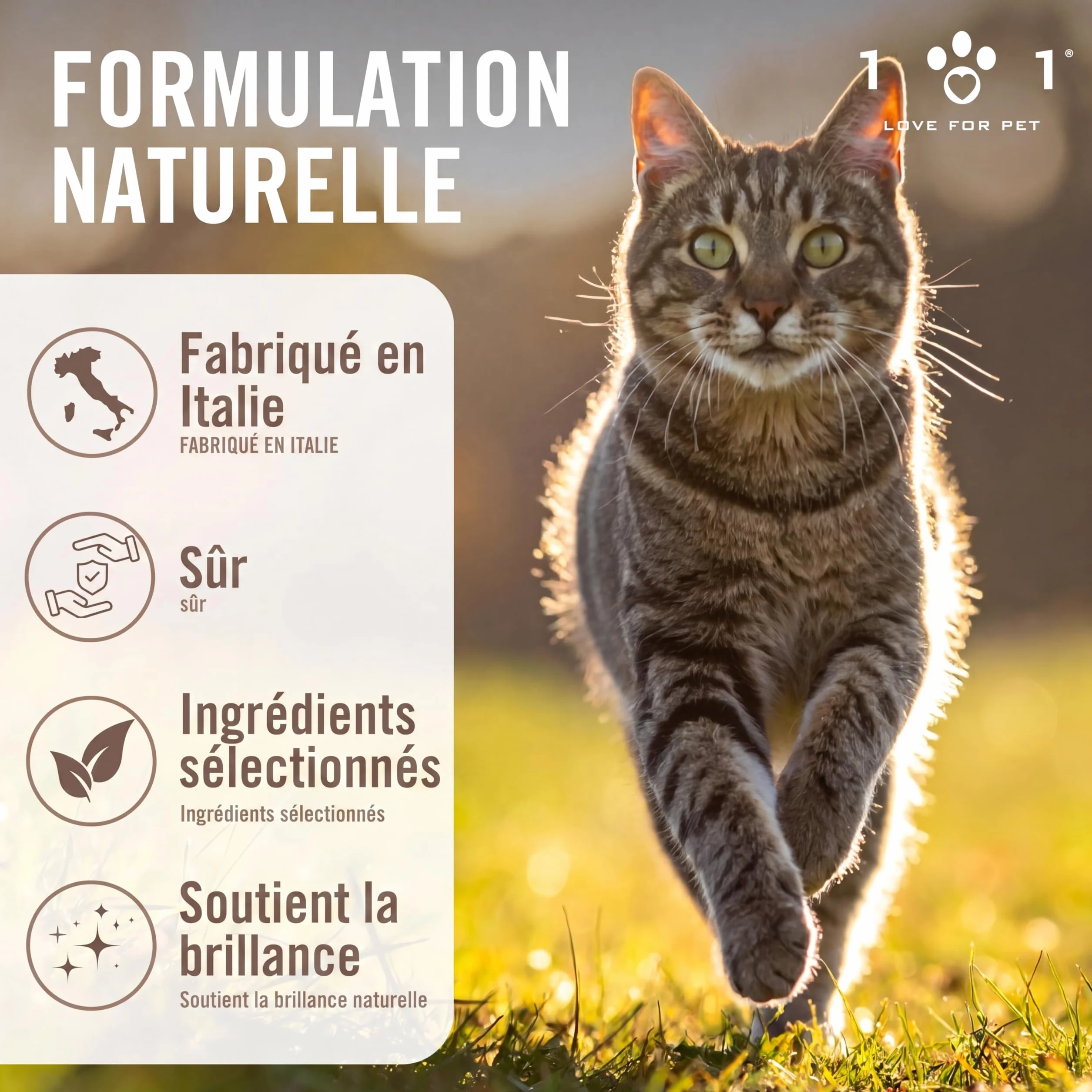 Spray Démêlant Chat 100ml Naturel Végétal sans Rinçage Poils Longs Courts