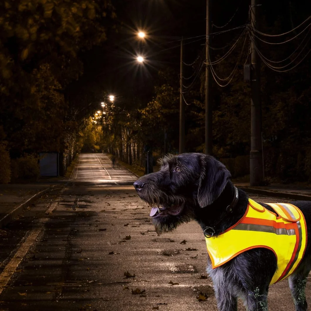 Gilet de sécurité réfléchissant pour chien jaune orange bandes réfléchissantes XL