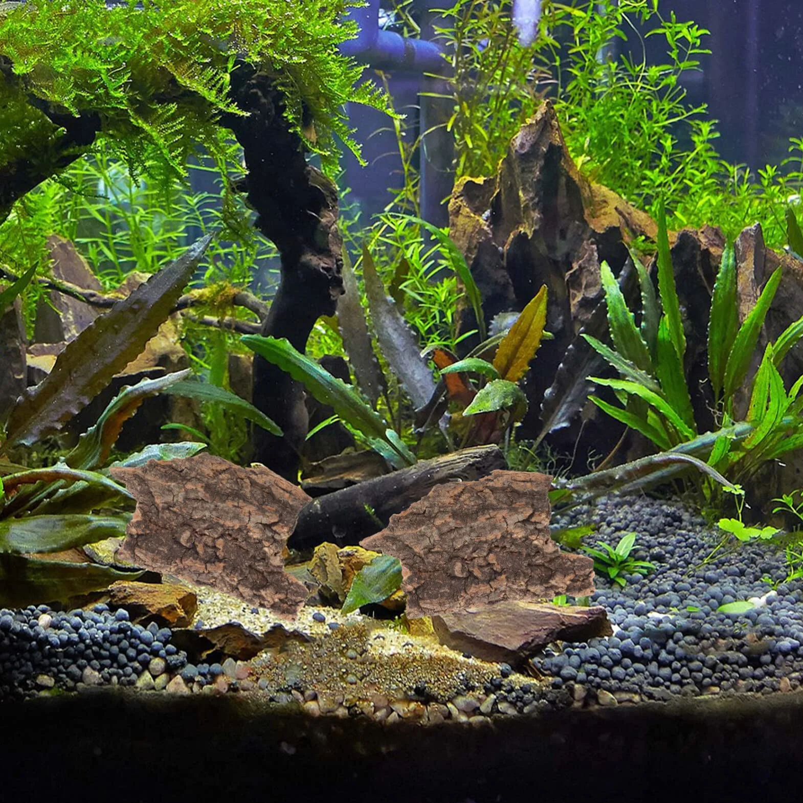 Lot de 10 Plateformes en Écorce de Bois pour Reptiles Lézards Tortues Décor Naturel Terrarium