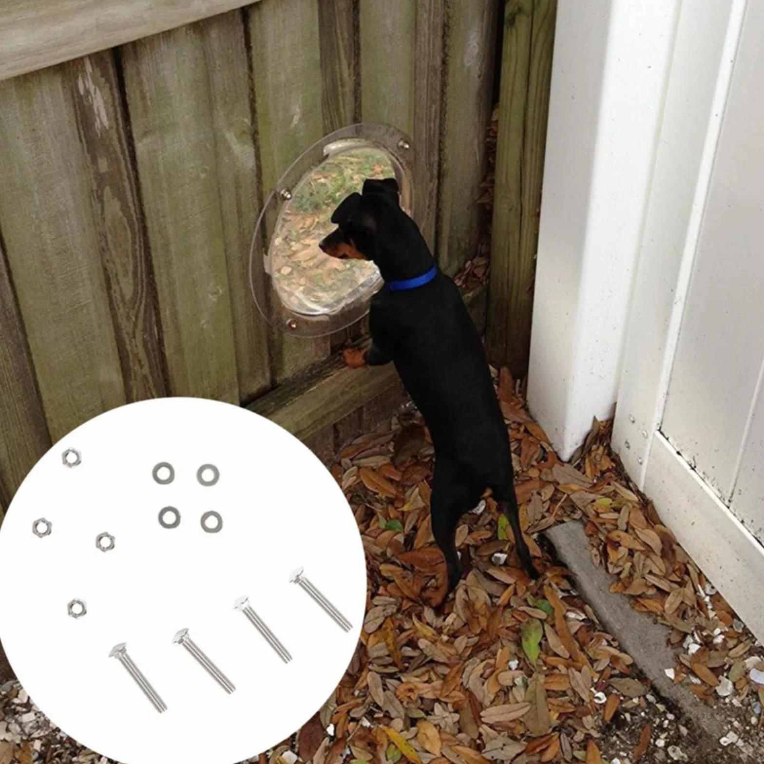 Hublot pour chien acrylique fenêtre dôme clôture jardin vue dégagée aboiement réduit