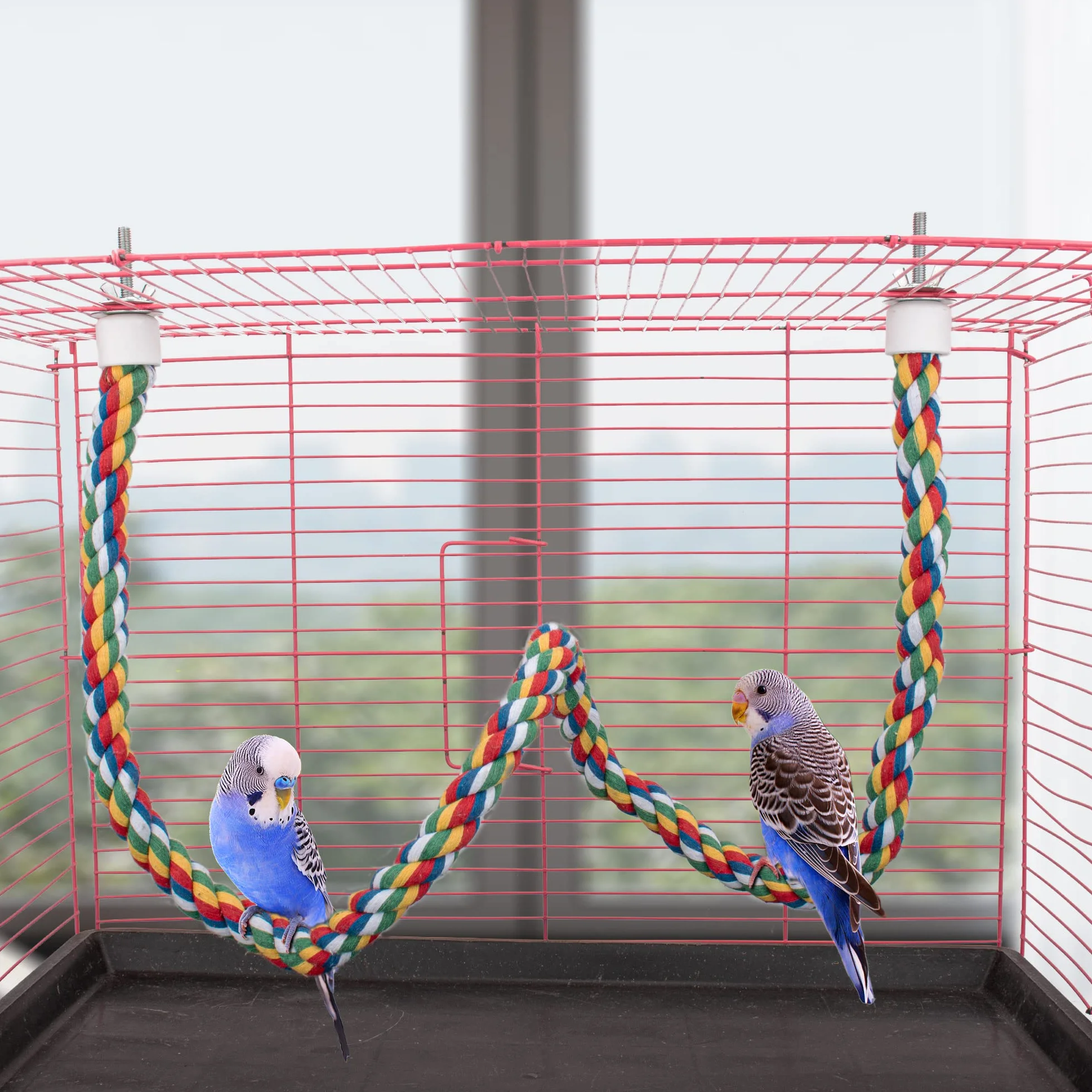 Perchoir Perroquet Corde 105cm Escalade pour Calopsitte Inséparables Oiseaux