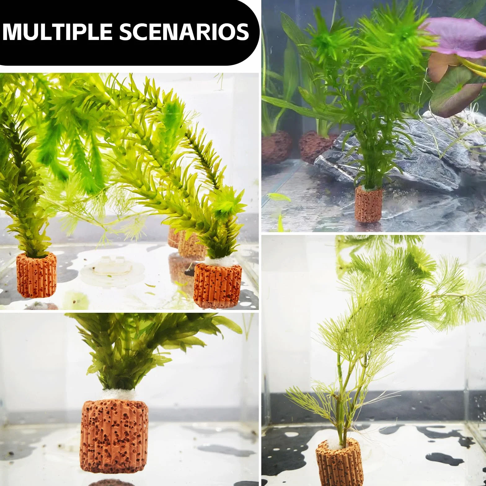 Anneaux de Fixation pour Plantes Aquatiques, Céramique, 2,5 cm, 30 Pièces