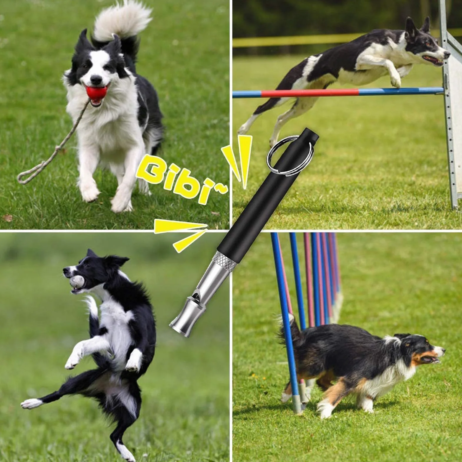Sifflet Ultrason Chien Anti Aboiement Haute Fréquence 2 Pièces avec Lanière Réglable Blanc Noir