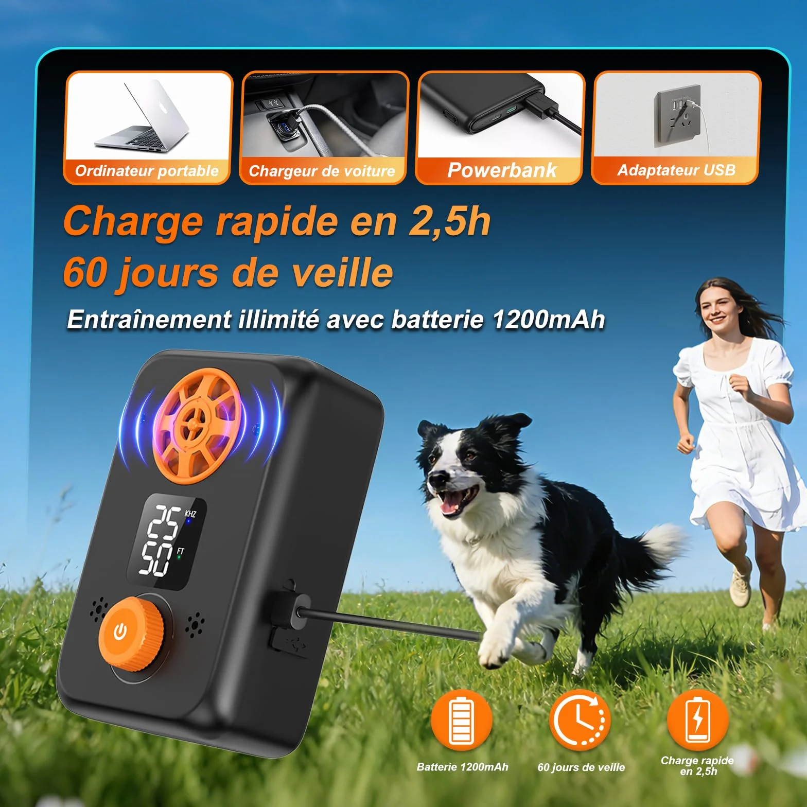 Appareil Anti-Aboiement Ultrasonique Chien 5 Fréquences Ajustables 3 Portées Intérieur/Extérieur