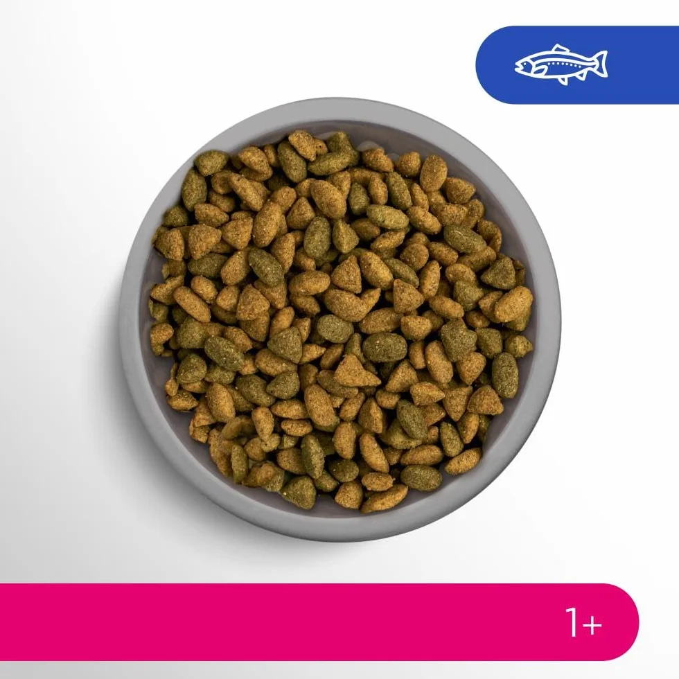 PERFECT FIT Adulte 1+ Croquettes chat stérilisé Saumon 1,4 kg Lot de 5