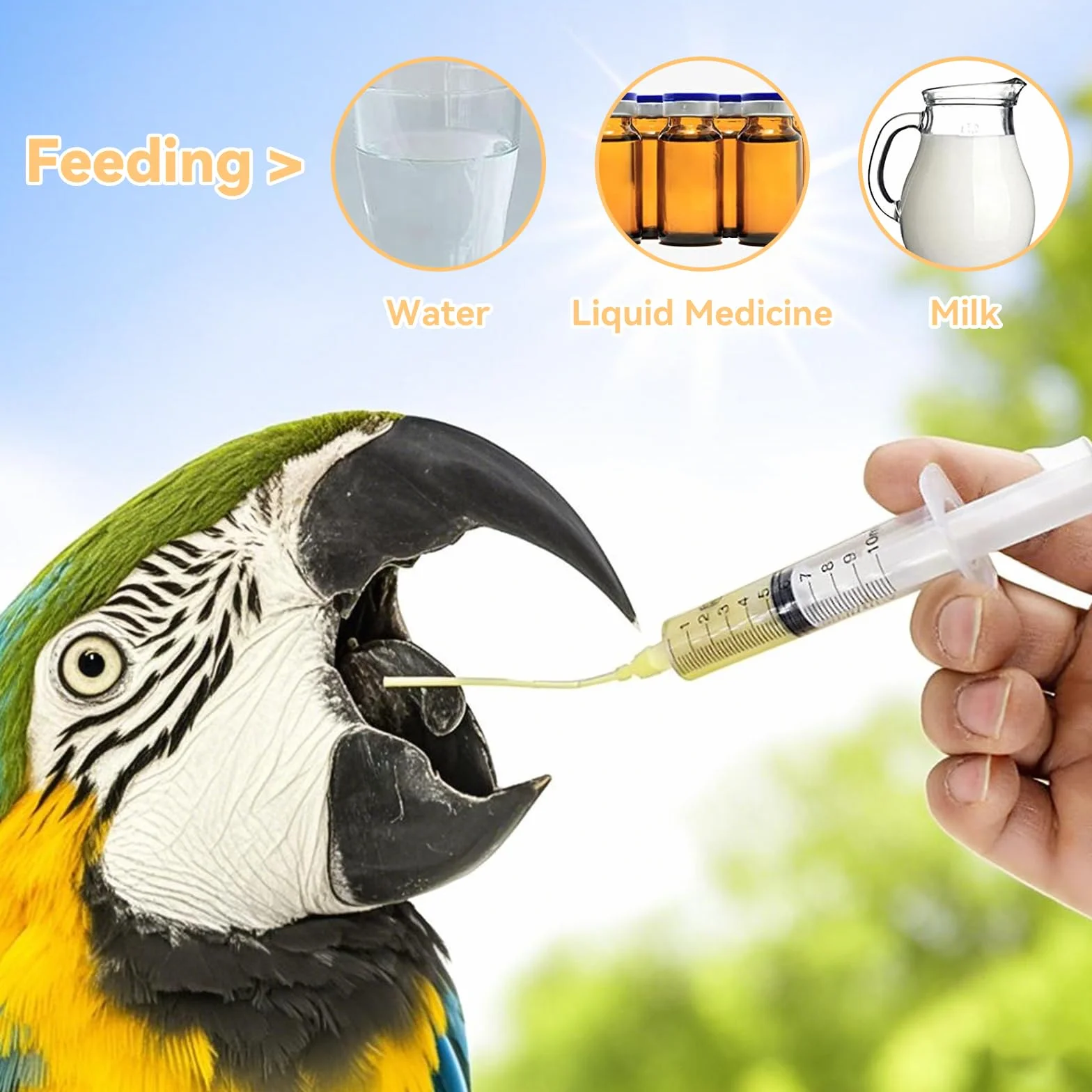 Sondes d'alimentation pour Oisillons 12 Pièces avec Seringues 10 ML pour Perroquets et Petits Animaux