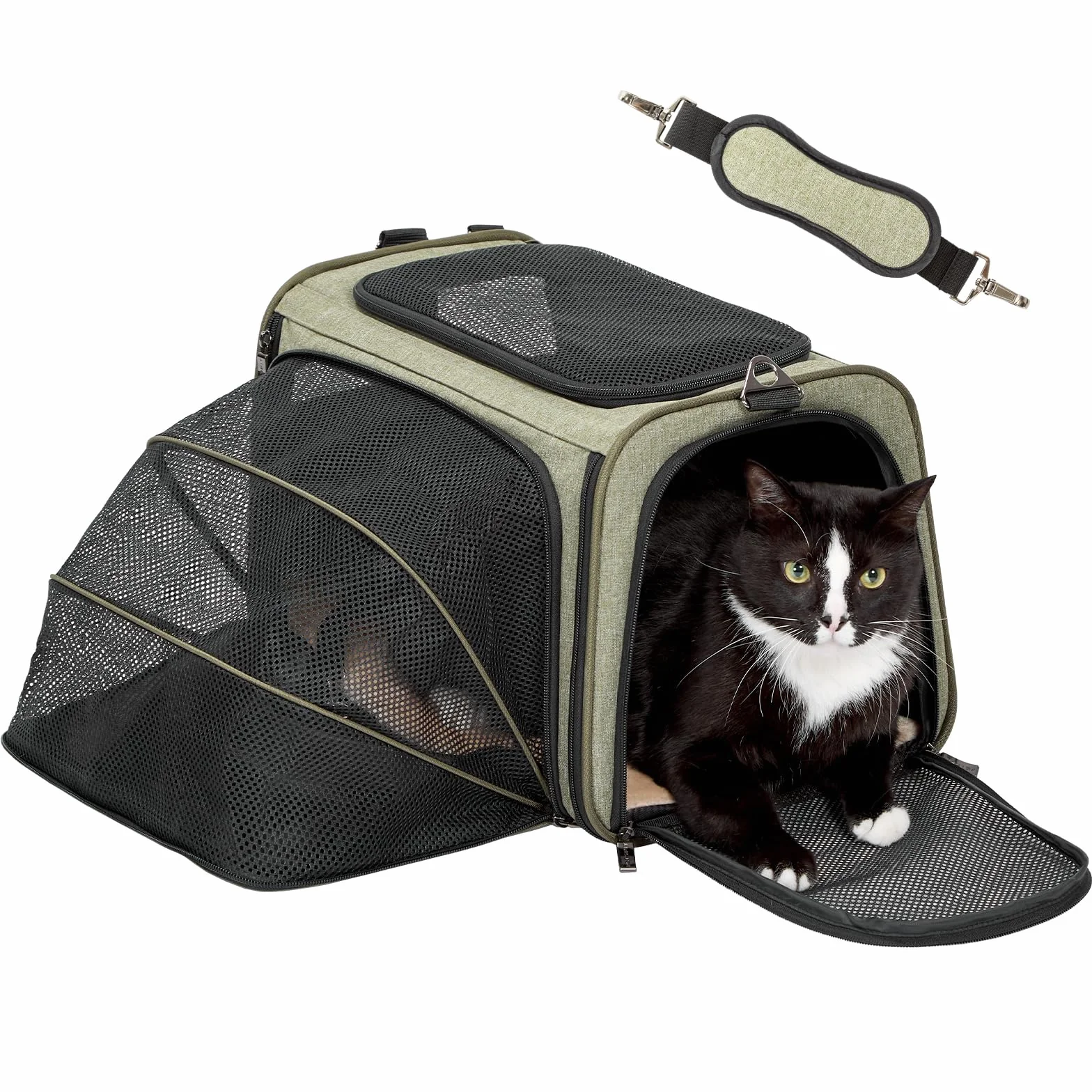 Petsfit Sac de Transport Extensible pour Chat avec Tapis en Polaire, Vert
