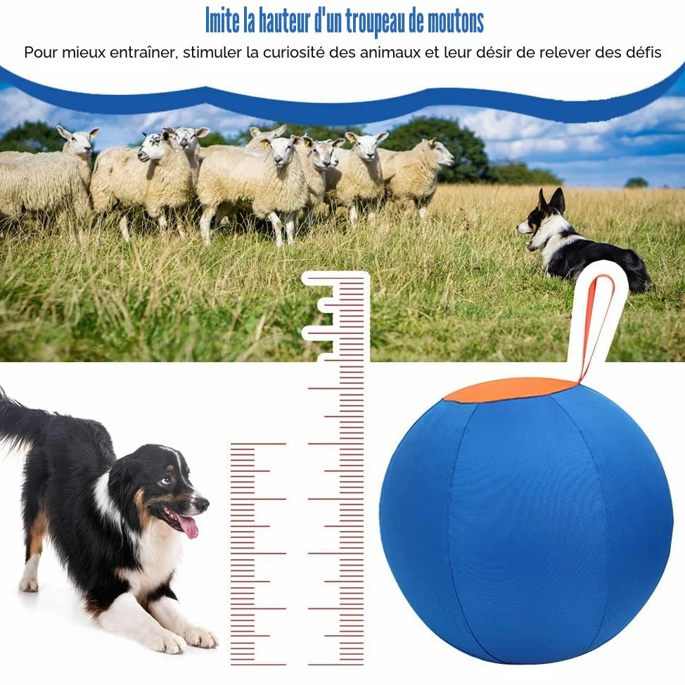 MiOYOOW 45CM Grandes Balles de Cheval, Balle Troupeau Chiens Anti-éclatement Mega Ball d'entraînement avec Pompe à Main et Couverture à Balle pour Chevaux, Chiens, Chèvres, Agneau