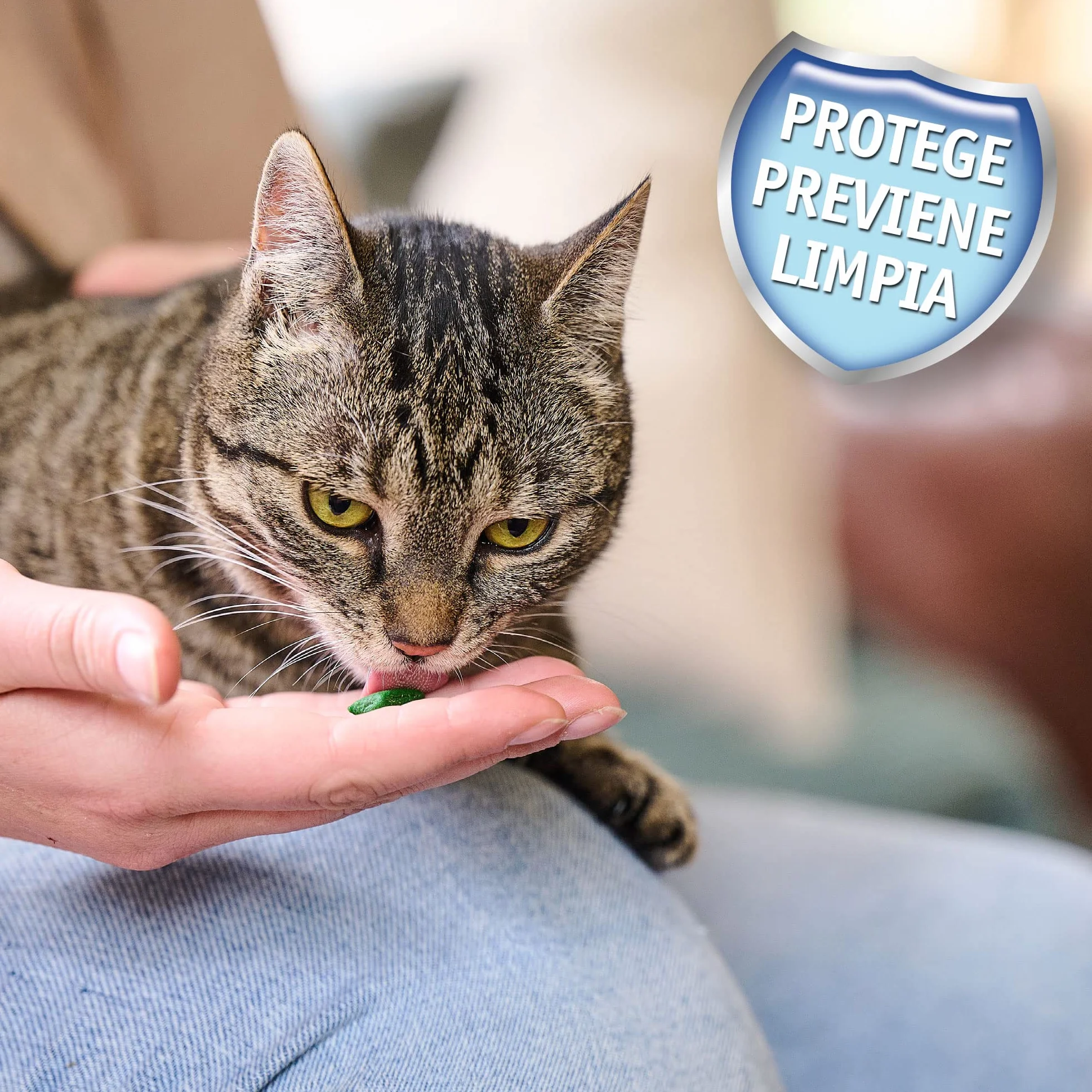 BEAPHAR Dents Saines friandises dentaires à la Chlorophylle pour Chat 35g