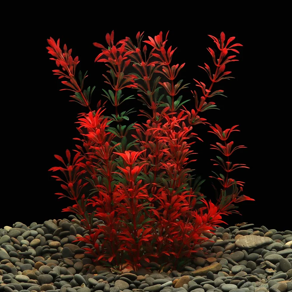 Plante Aquarium Décorations Plastique 30cm x 10cm Rouge