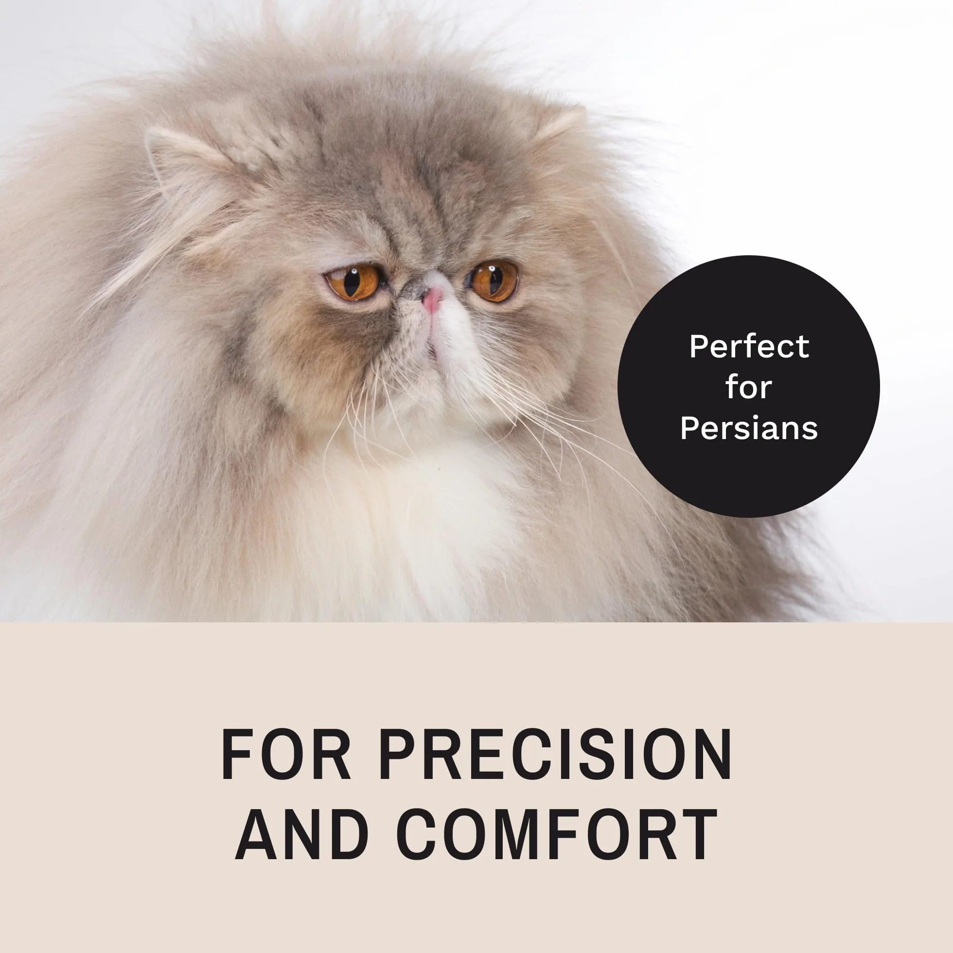 Eye Envy Brosse applicatrice ProPowder pour chiens et chats - Poudre Tear Stain - Cheveux fibres superfines lavables
