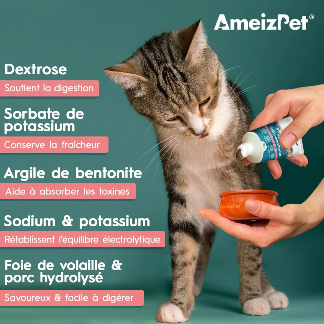 AmeizPet Pâte Gastro Intestinale pour Chats, 100 g – Complément Digestif pour la Santé Intestinale
