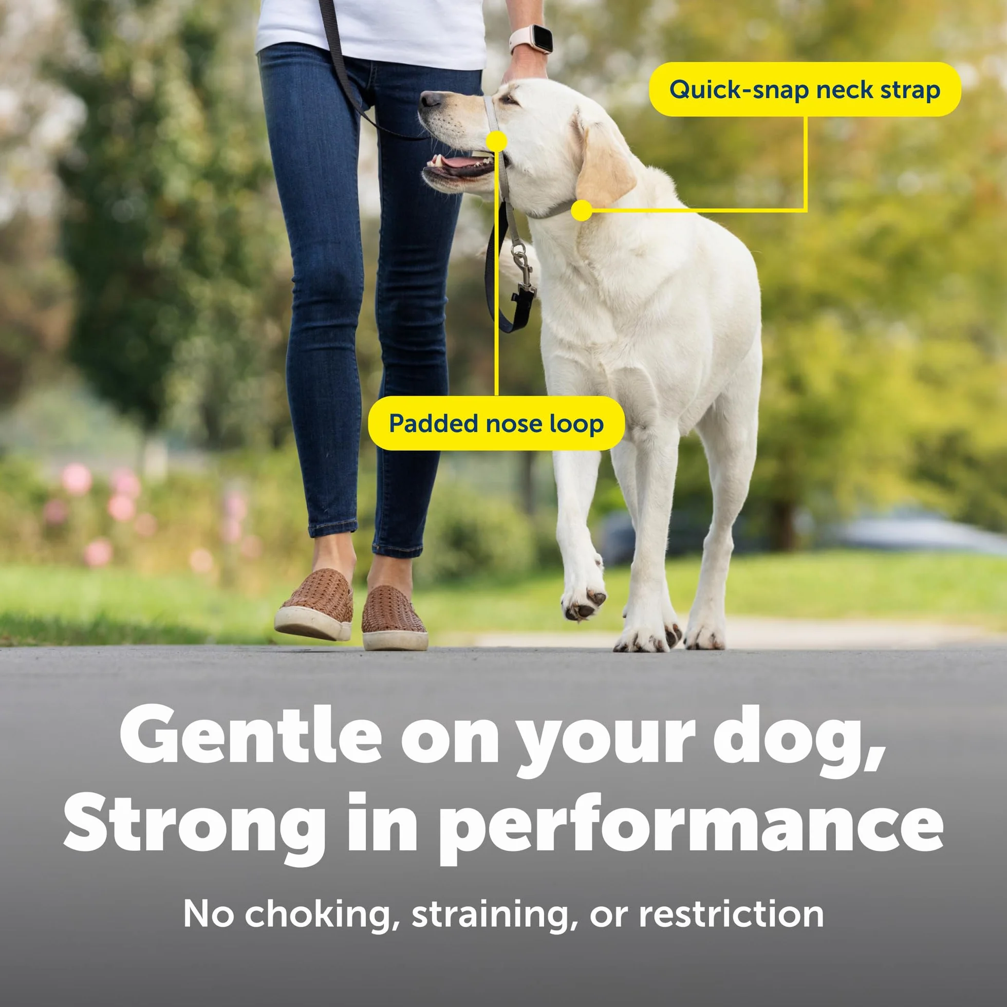 PetSafe Gentle Leader anti-traction pour chien Taille