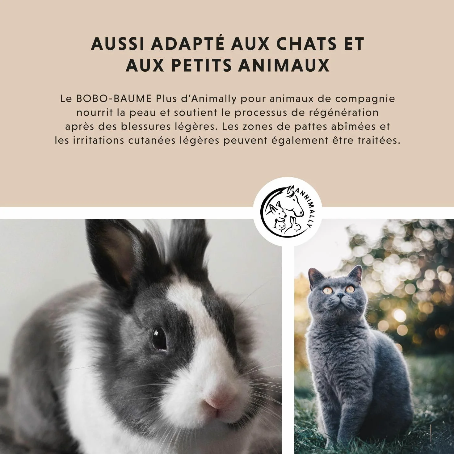 Pommade au Foie de morue et au Zinc pour Chiens 50g - Baume pour blessures, eczéma et escarres
