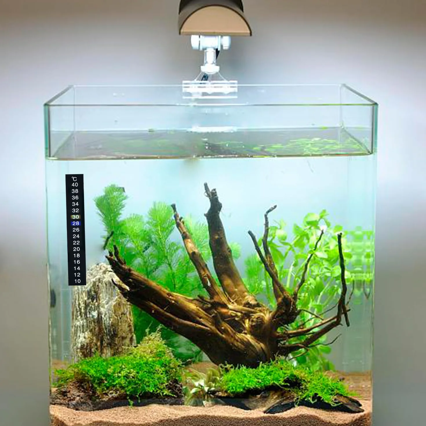 Autocollants de température de l'eau pour aquarium - Thermomètre numérique Lot de 4 - Pour tortues, reptiles et poissons d'ornement (noir)