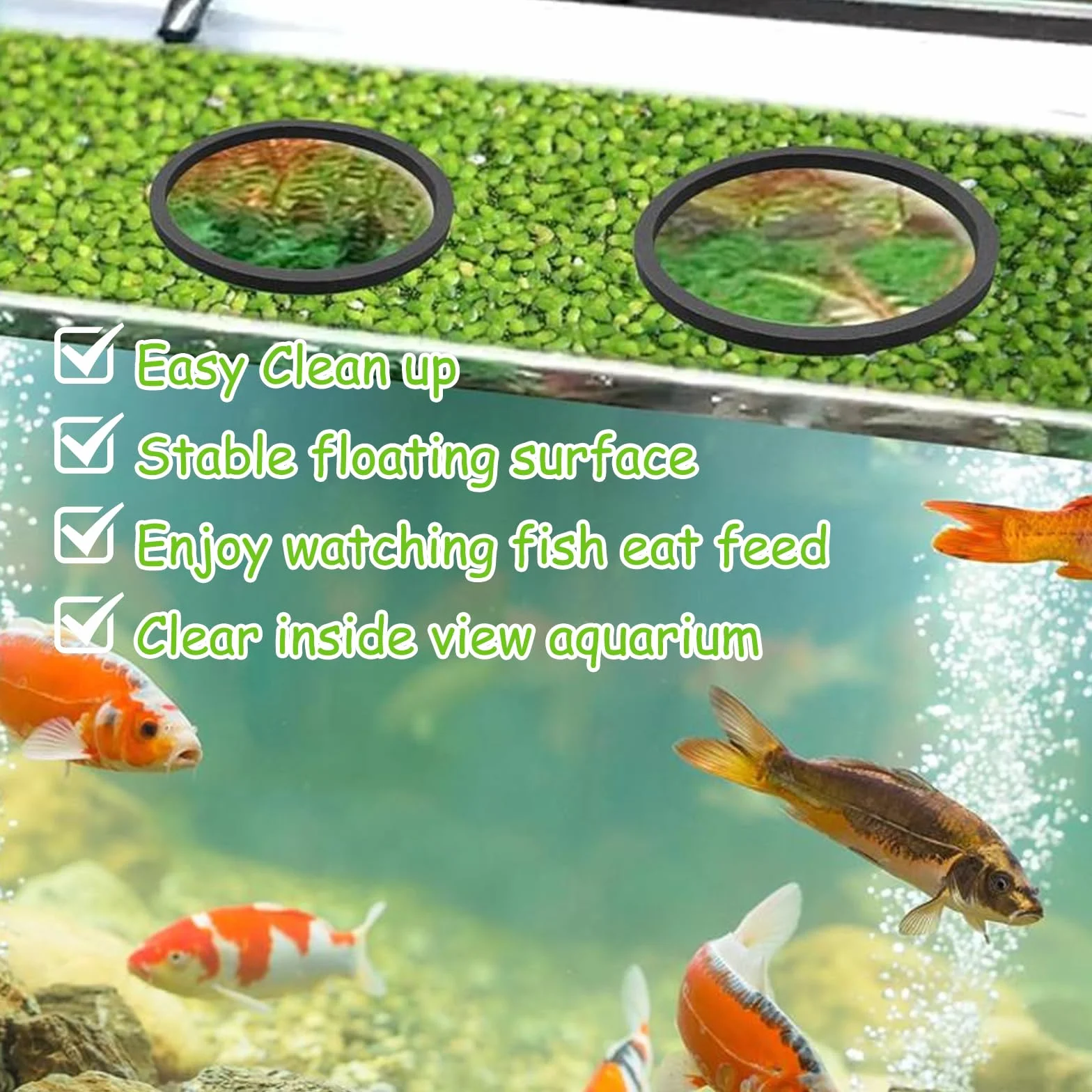 Anneau d'Alimentation Flottant Rond pour Aquarium 5 Tailles VPB 10 Pièces