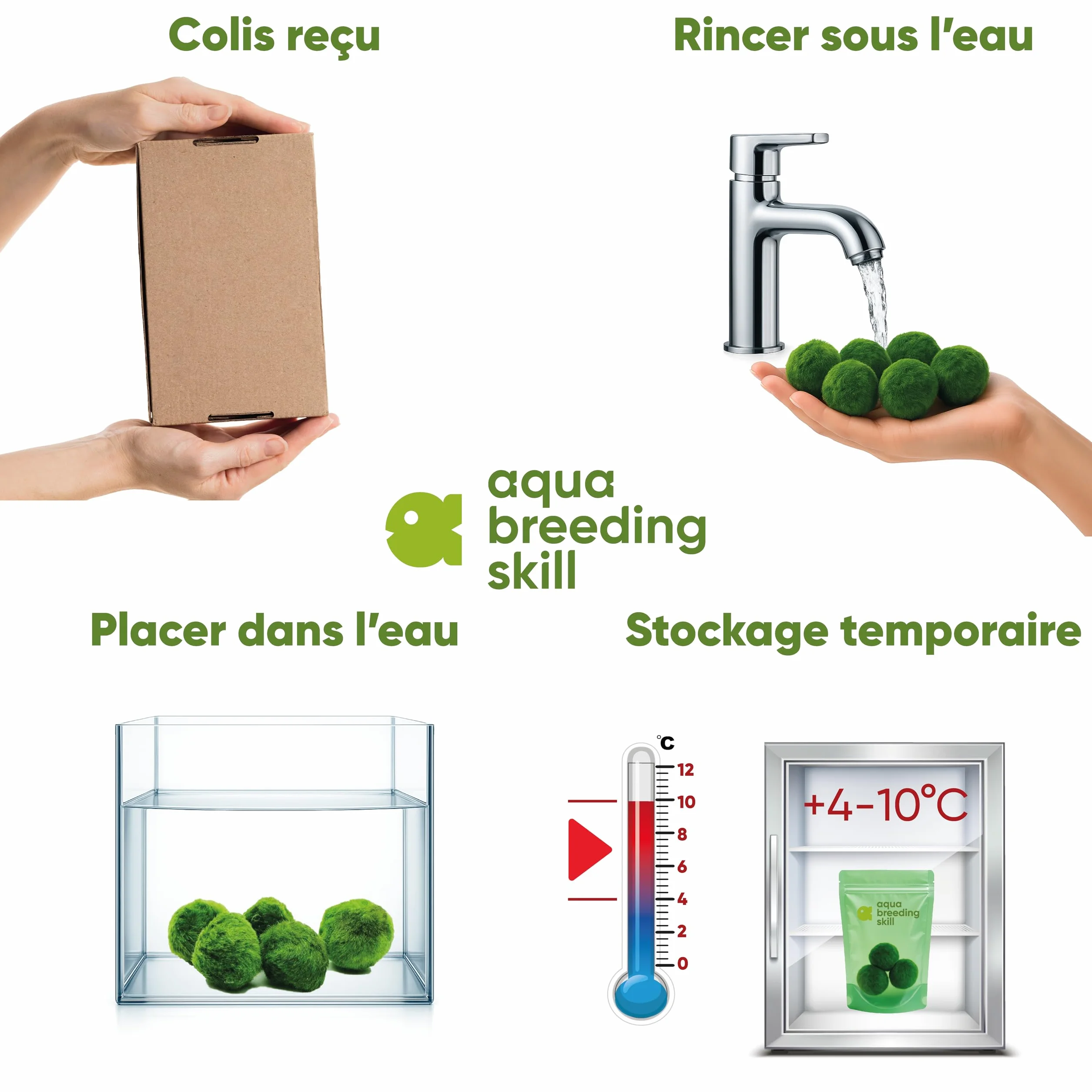Marimo Moss Balls Lot de 7 – Plante Aquarium Vivante Naturelle – Filtre Biologique – Décoration Écologique – 3–4 cm – Nano Aquarium