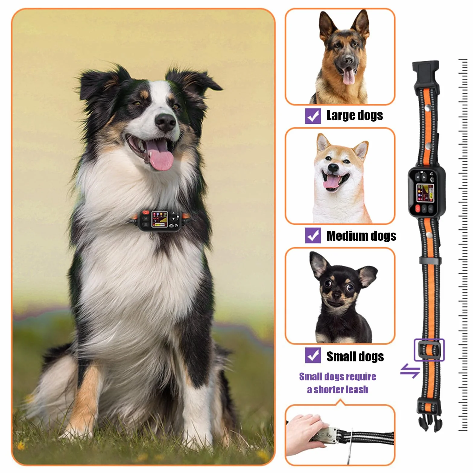 Billg Cloture Electrique pour Chien, 3 Modes Anti-Fugue, Collier Dressage Etanche, Portee 20-2000 M