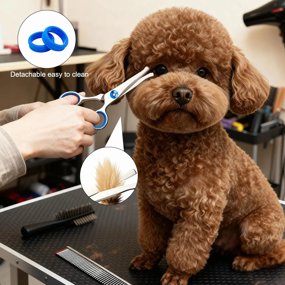 Ciseaux Toilettage Chien Professionnel, Ciseaux Toilettage Chien de Compagnie pour Animaux avec Pointe Ronde de Sécurité Ciseau Droit en Acier pour Chats Chiens et Autres Animaux