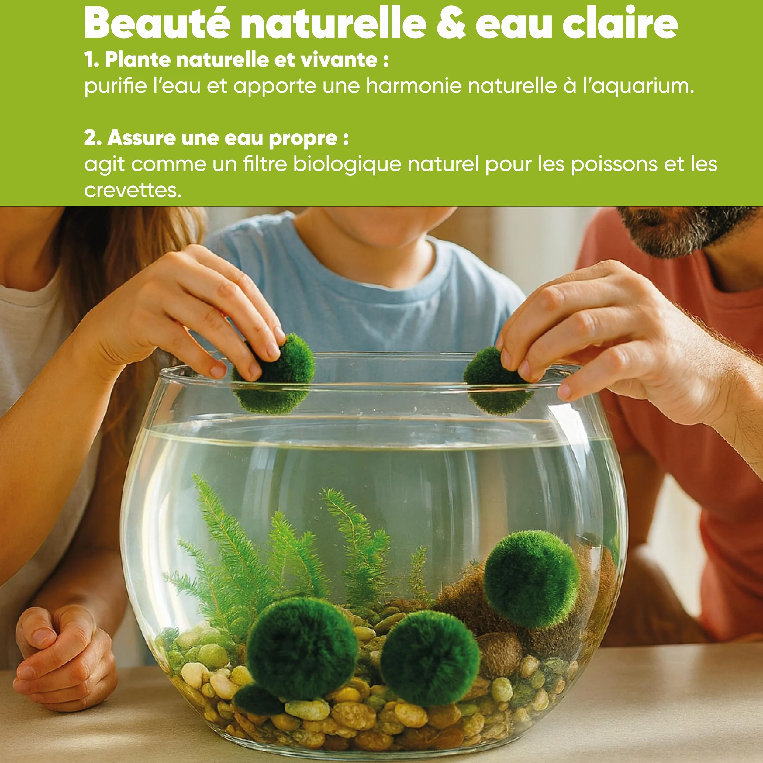 Marimo Moss Balls Lot de 7 – Plante Aquarium Vivante Naturelle – Filtre Biologique – Décoration Écologique – 3–4 cm – Nano Aquarium