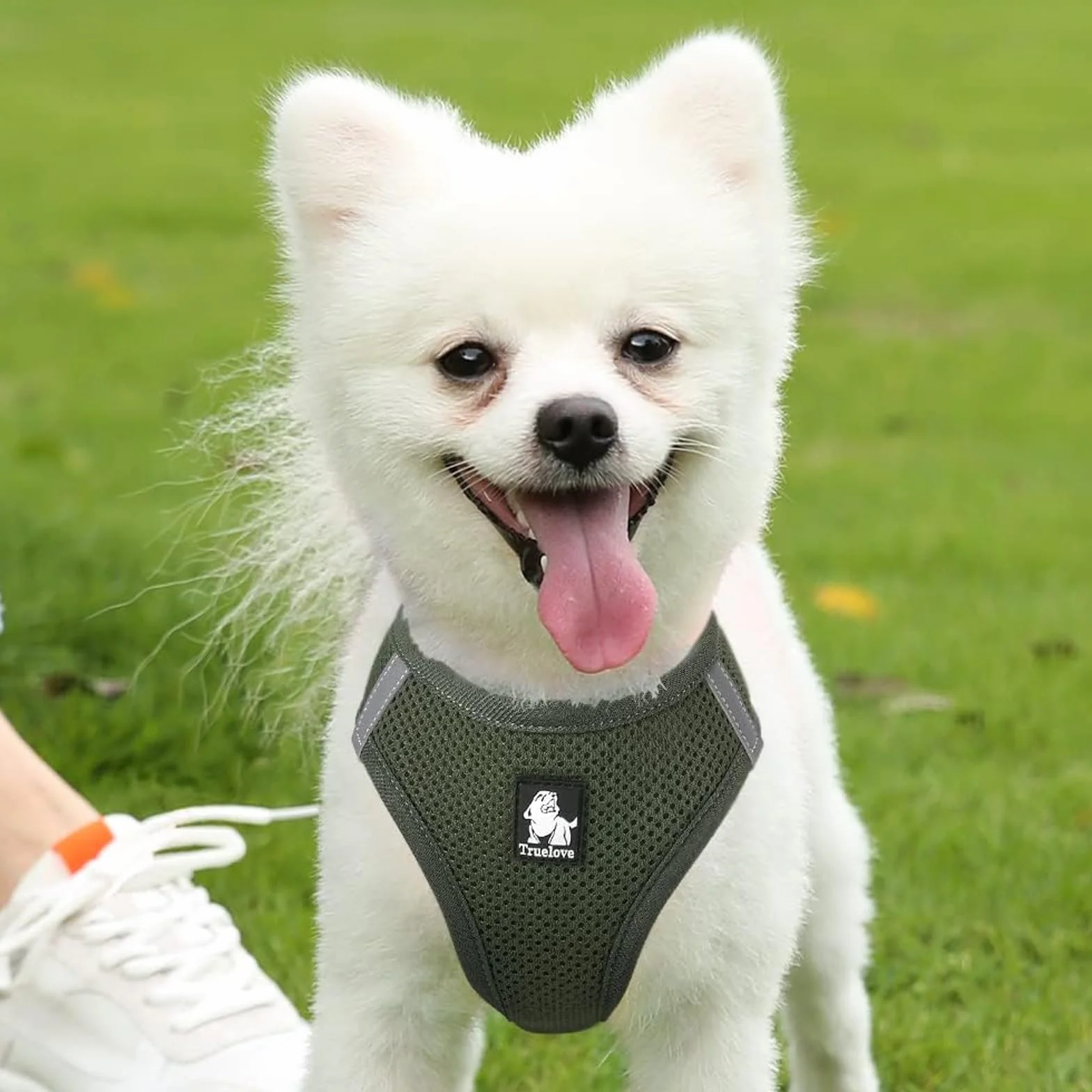 TRUE LOVE Harnais pour Chien Soft Air Mesh Gilet réfléchissant réglable M Vert