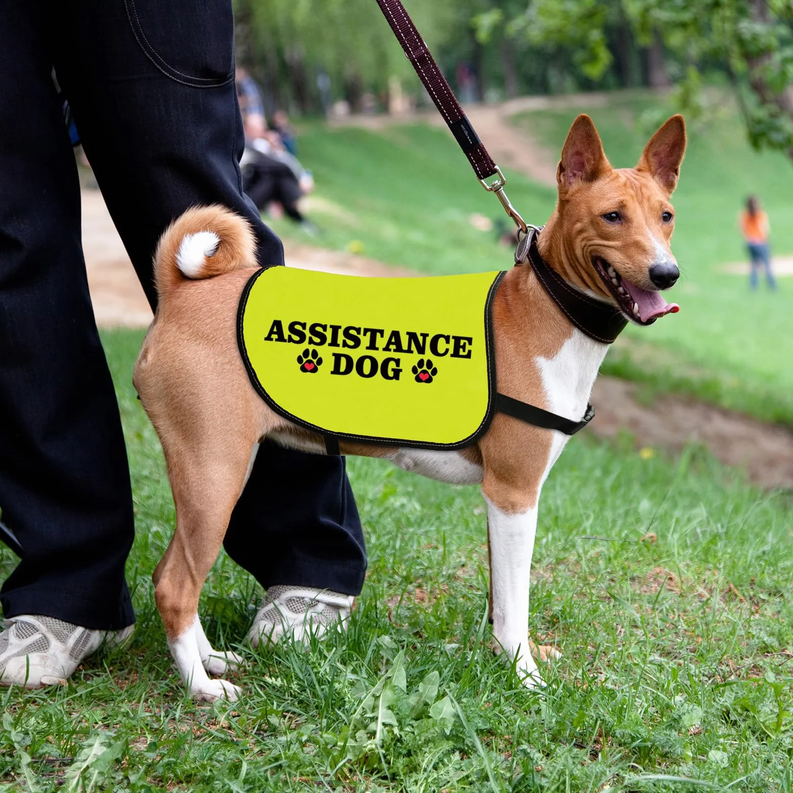 Veste chien d'assistance taille L avec slogan