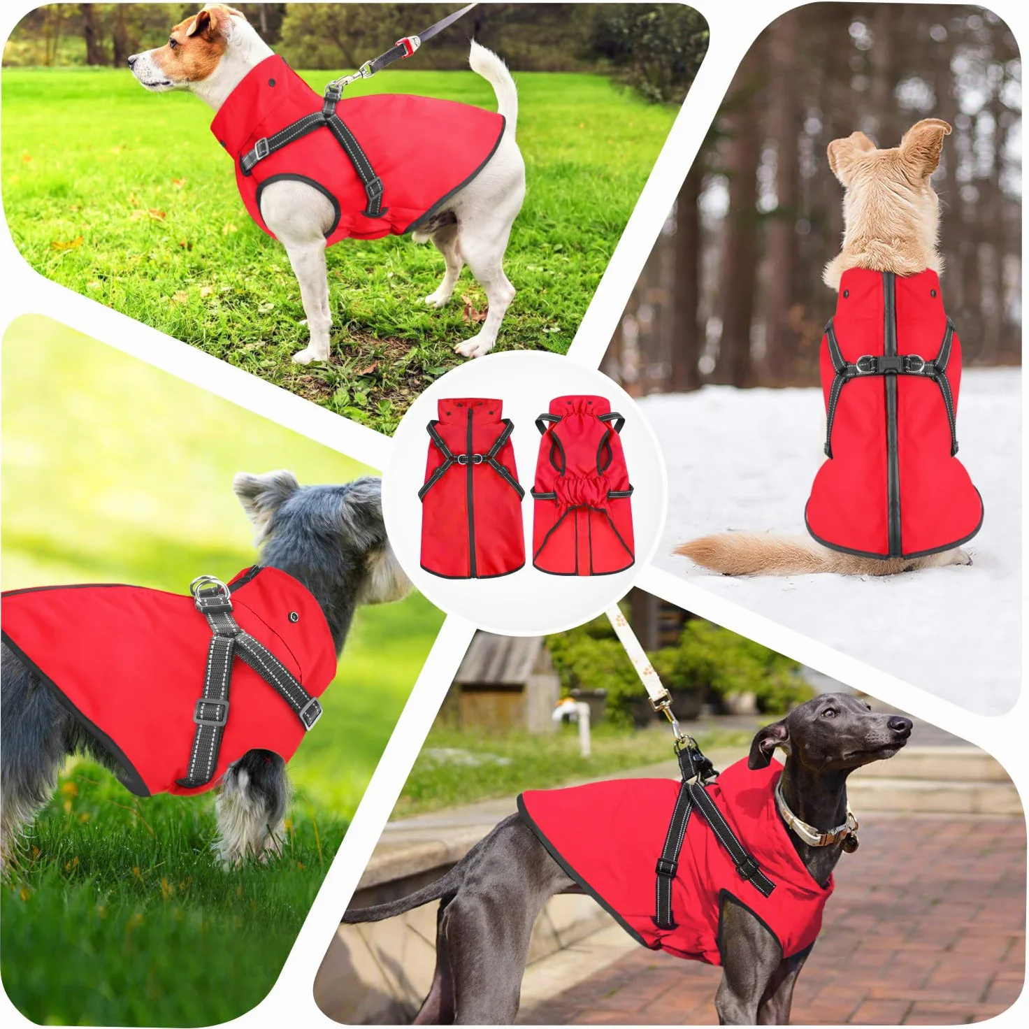 Manteau de Pluie imperméable pour Chien à Capuche réfléchissant Rouge L