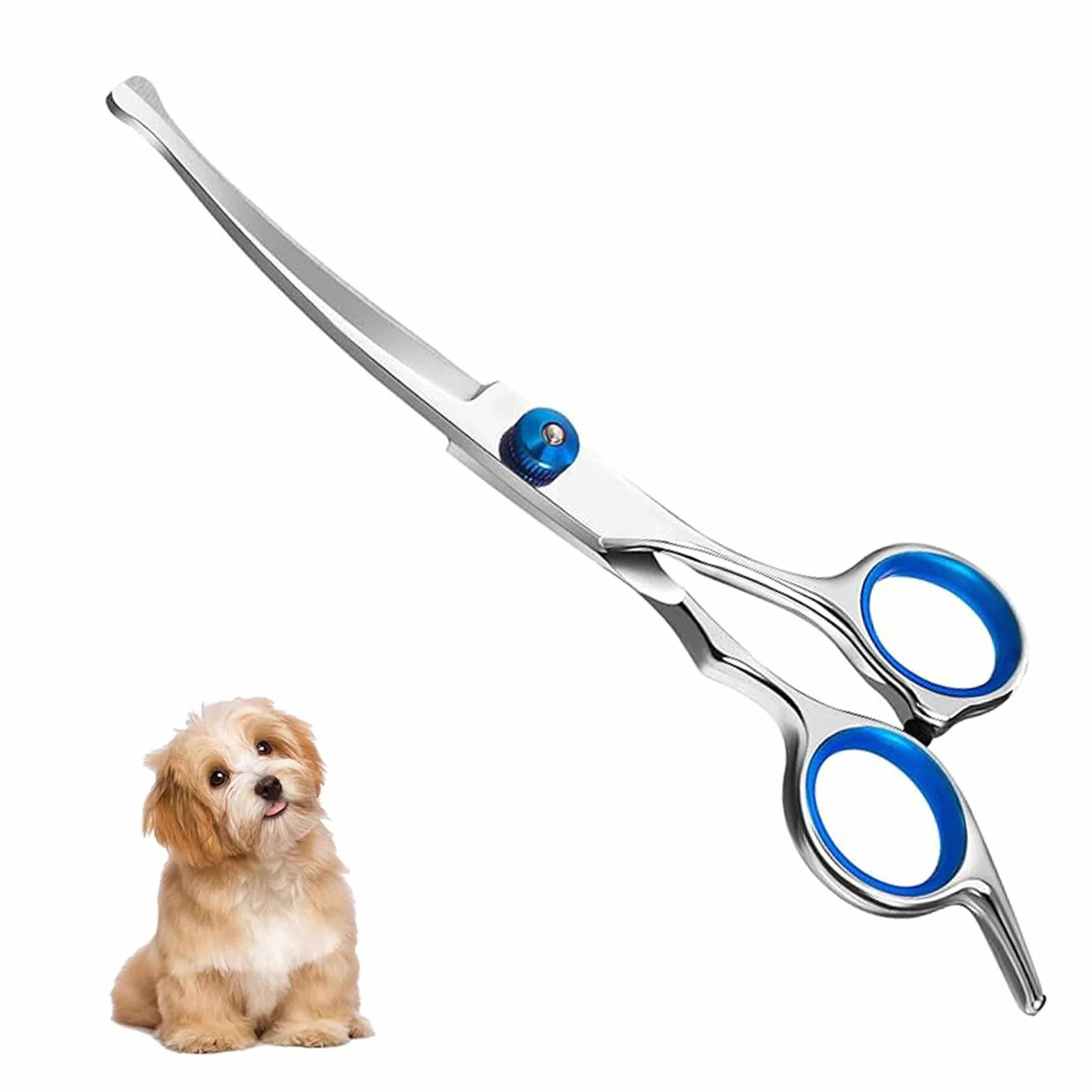 Ciseaux de toilettage pour chiens et chats en acier inoxydable bleu
