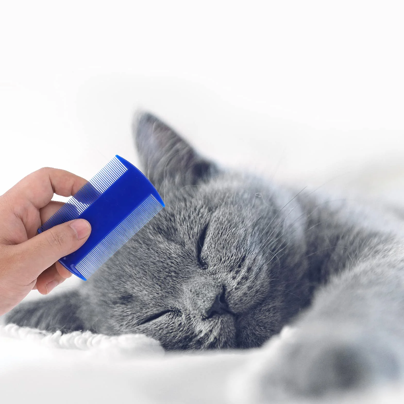 Molain Set de peignes anti puces pour chats et chiens, 4 pièces, peigne de toilettage