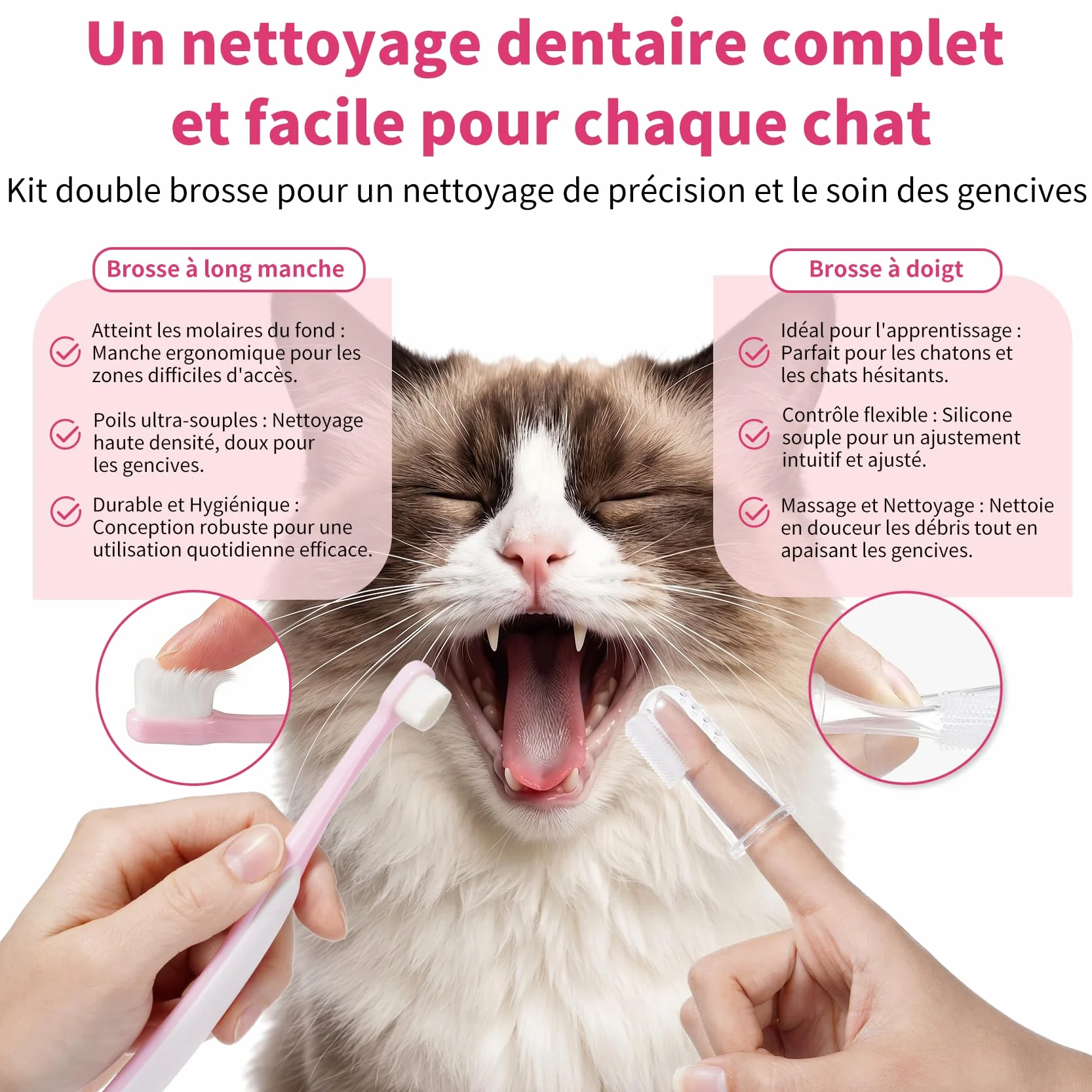 Dentifrice Enzymatique pour Chats - Kit Dentaire 30g