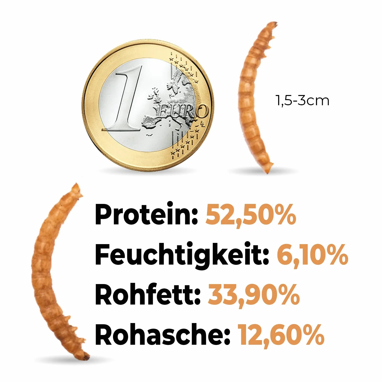 Mehlwürmer getrocknet 2kg proteinreicher Snack für Wildvögel Fische Reptilien Nager