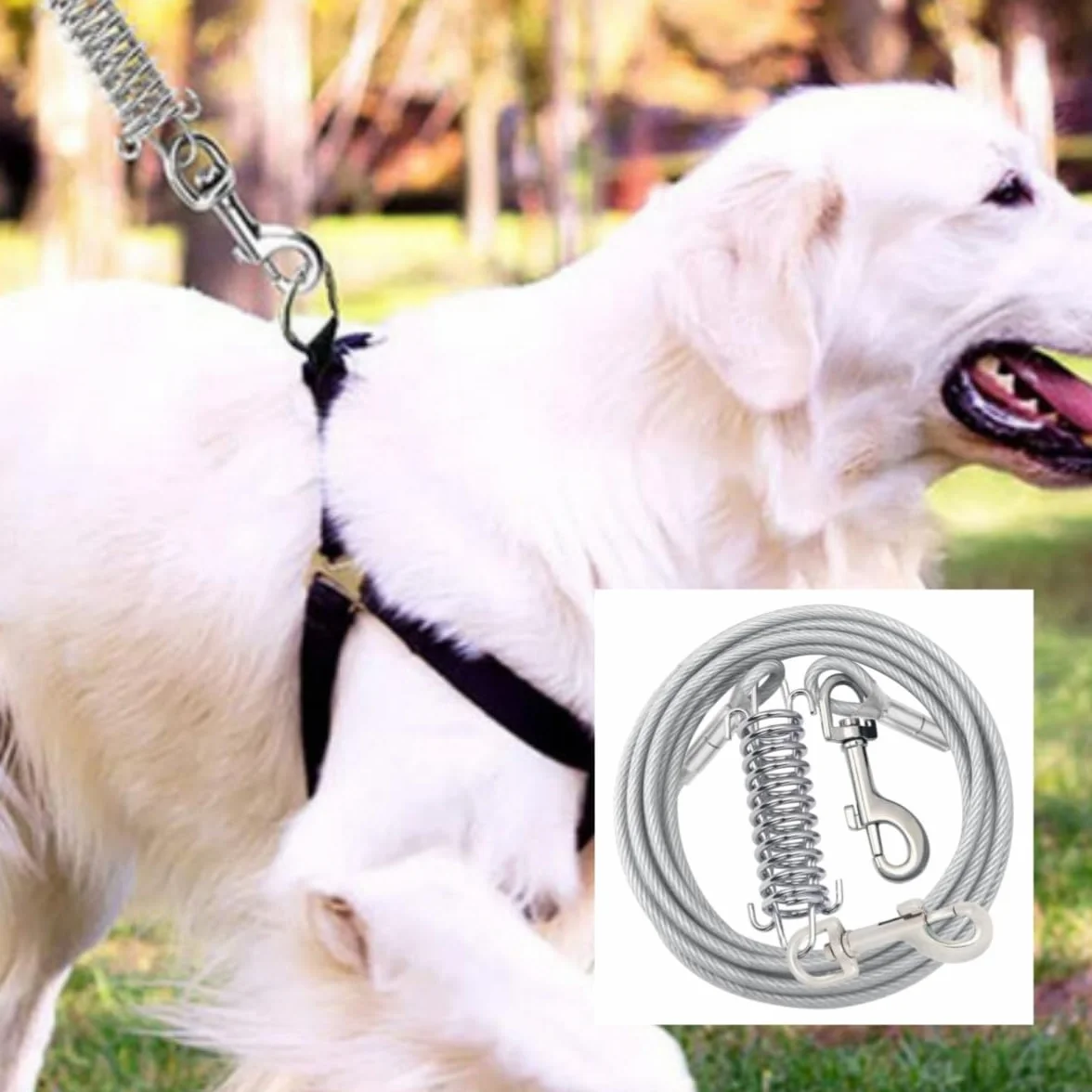 Câble d'attache pour chien 5 m diamètre chaîne robuste absorption des chocs camping plein air jusqu'à 150 kg