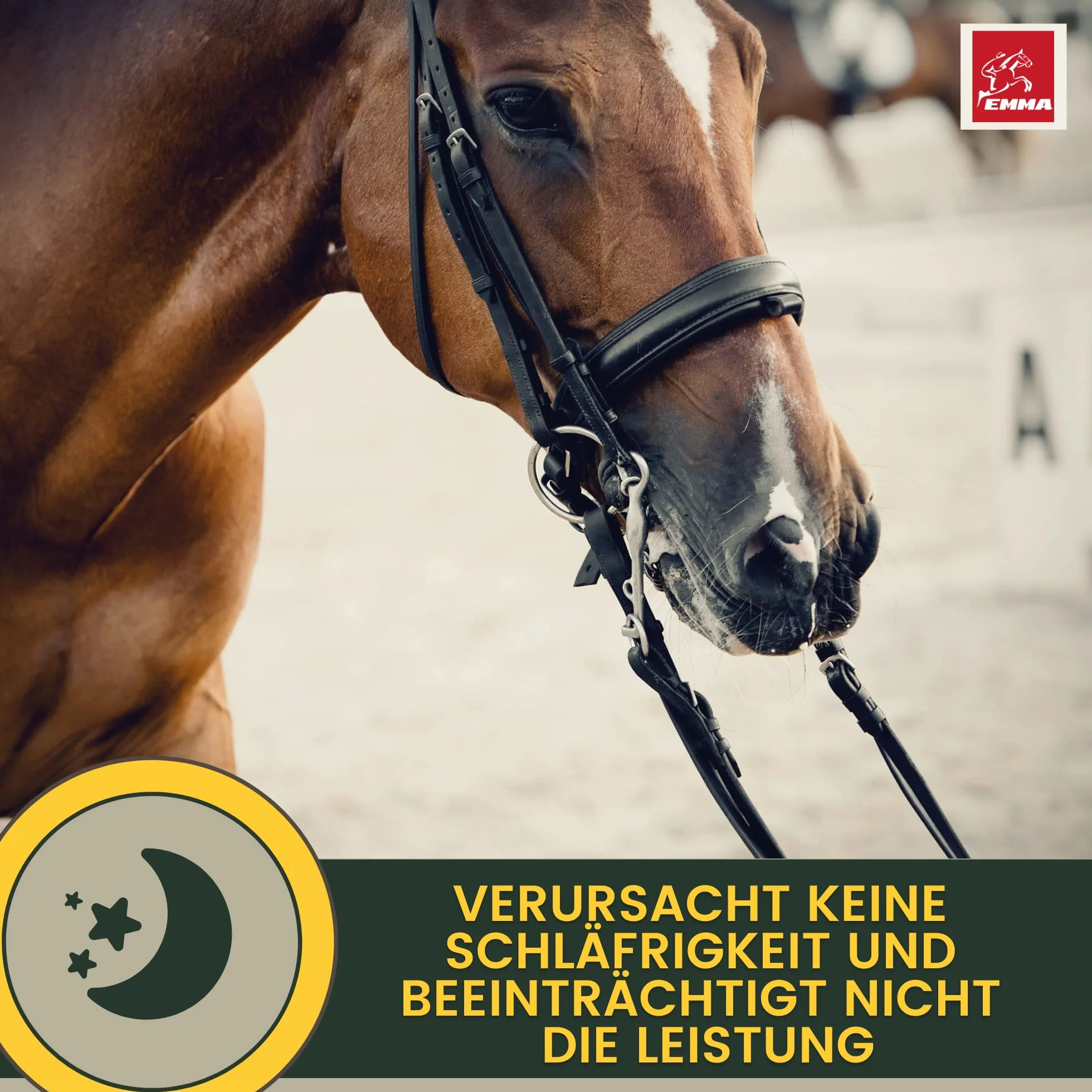 Magnésium Cheval 2 * 30ml Pâte calmante pour Chevaux Calm Relax Booster I Anti-Stress calmant nerveux L-tryptophane I en Cas d'anxiété Transport I Pâte de magnésium sérénité Cheval nerveux Haute Dose