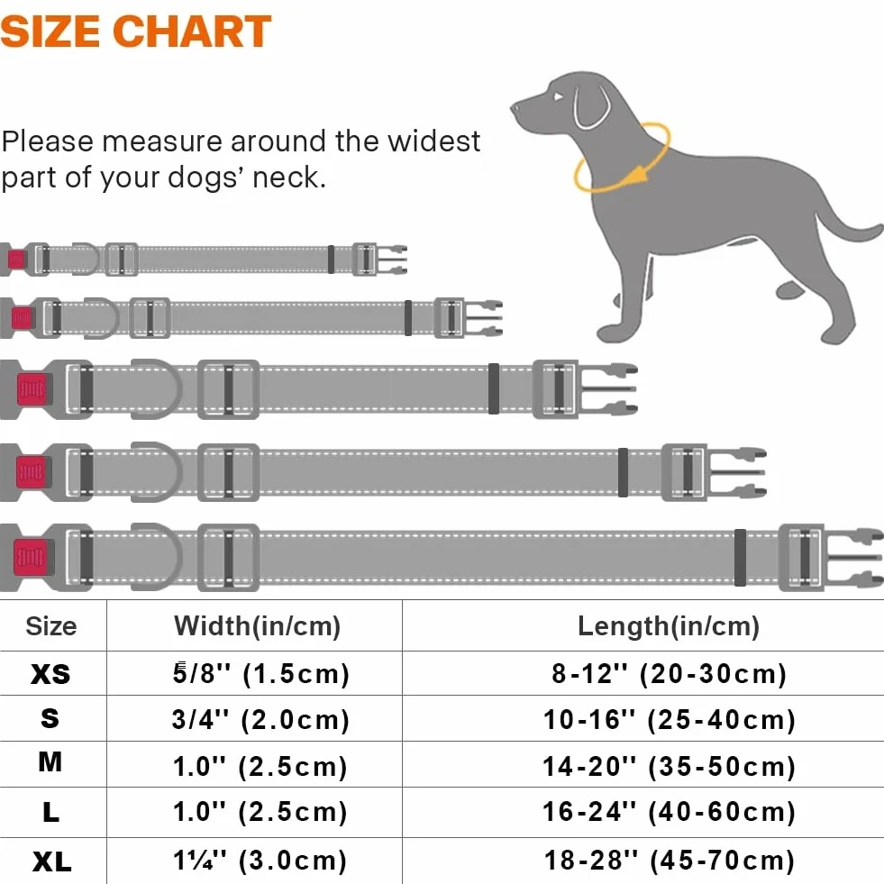 Collier pour Chien Réfléchissant Réglable Taglory, Verrou Sécurité Anti-Fugue, Nylon Résistant, Maille Respirante Rembourrée, Petit Chien, Visibilité Nuit, S, Rouge