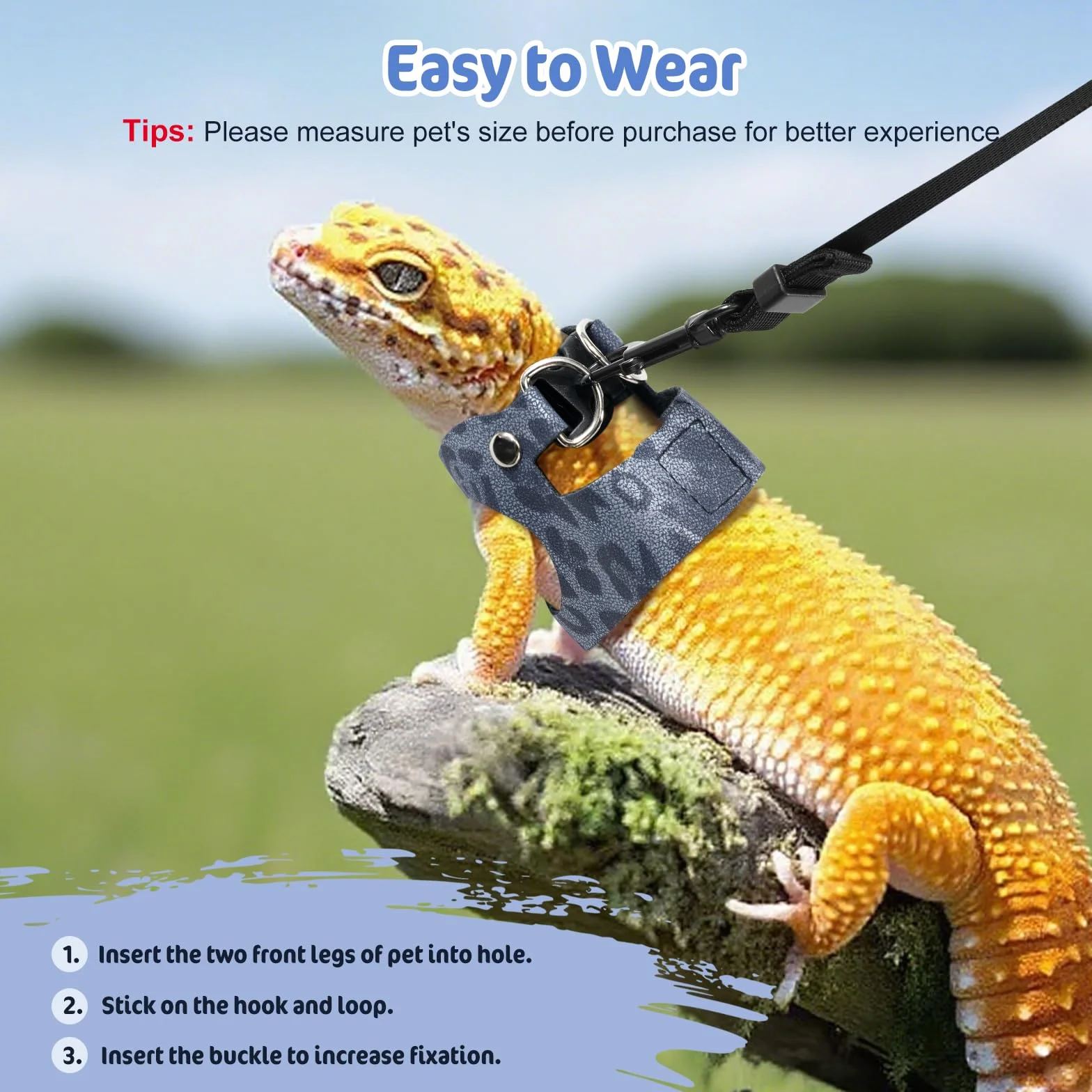 Pawaboo 3 Pack Harnais de Dragon Bardu Laisse Réglable de Lézard, Harnais de Reptile, S&M&L, Bleu Poussière