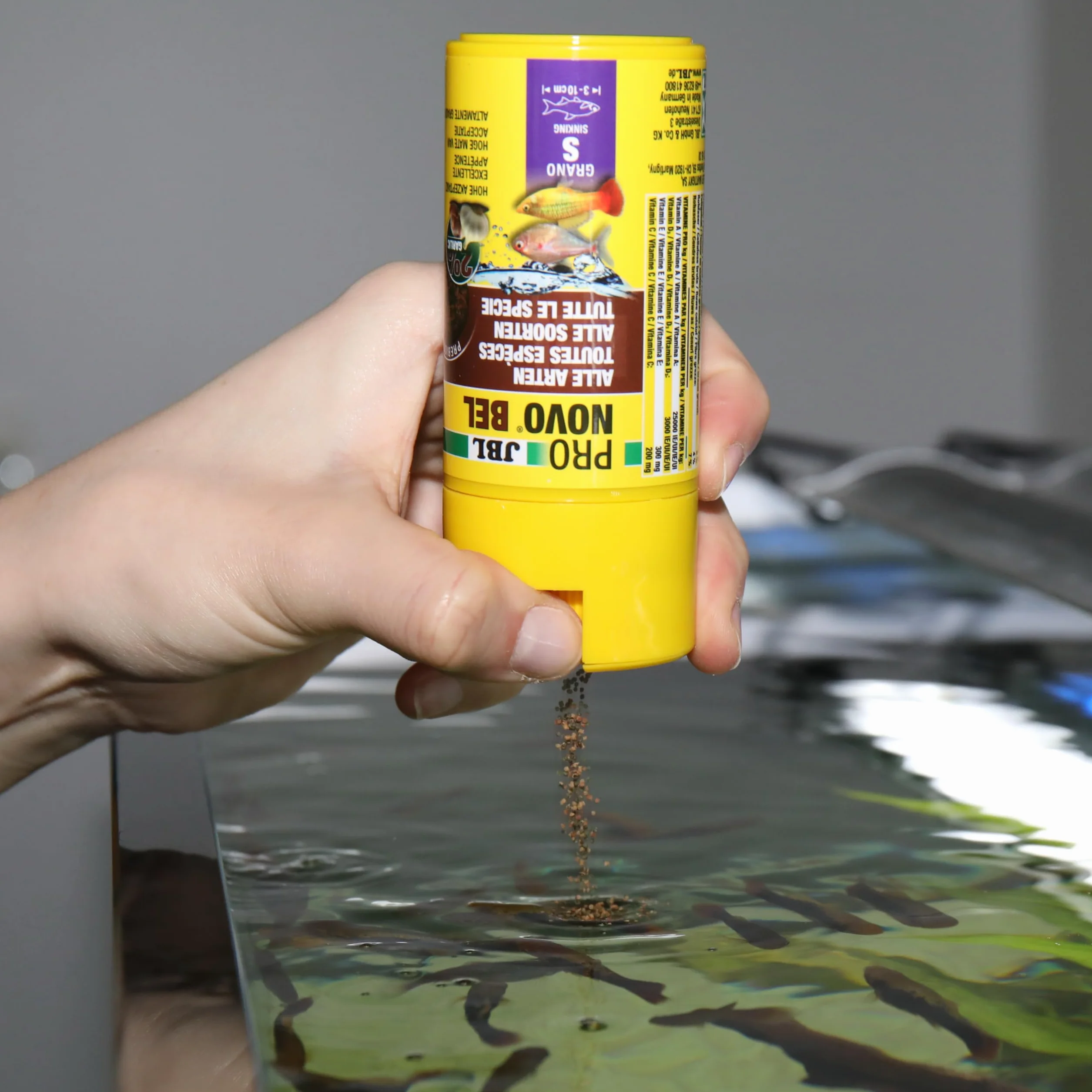 JBL PRONOVO BEL GRANO Aliment de Base pour Poissons d'Aquarium 3-10 cm Granulés Doseur à clic Taille S 100 ml