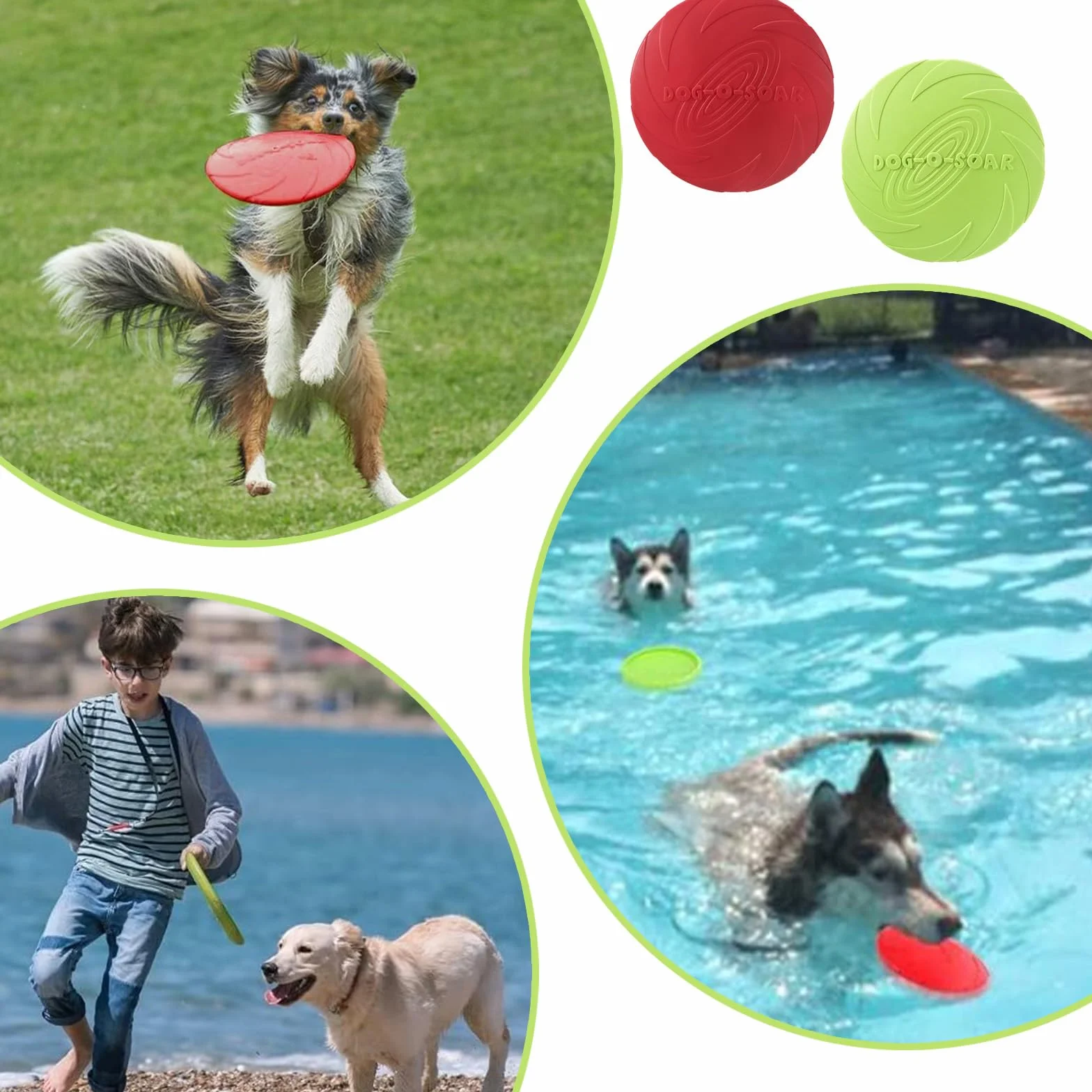 Freesbee pour Chien 18 Cm Caoutchouc Naturel Lot De 2 Frisbee Dressage (Rouge Et Vert)