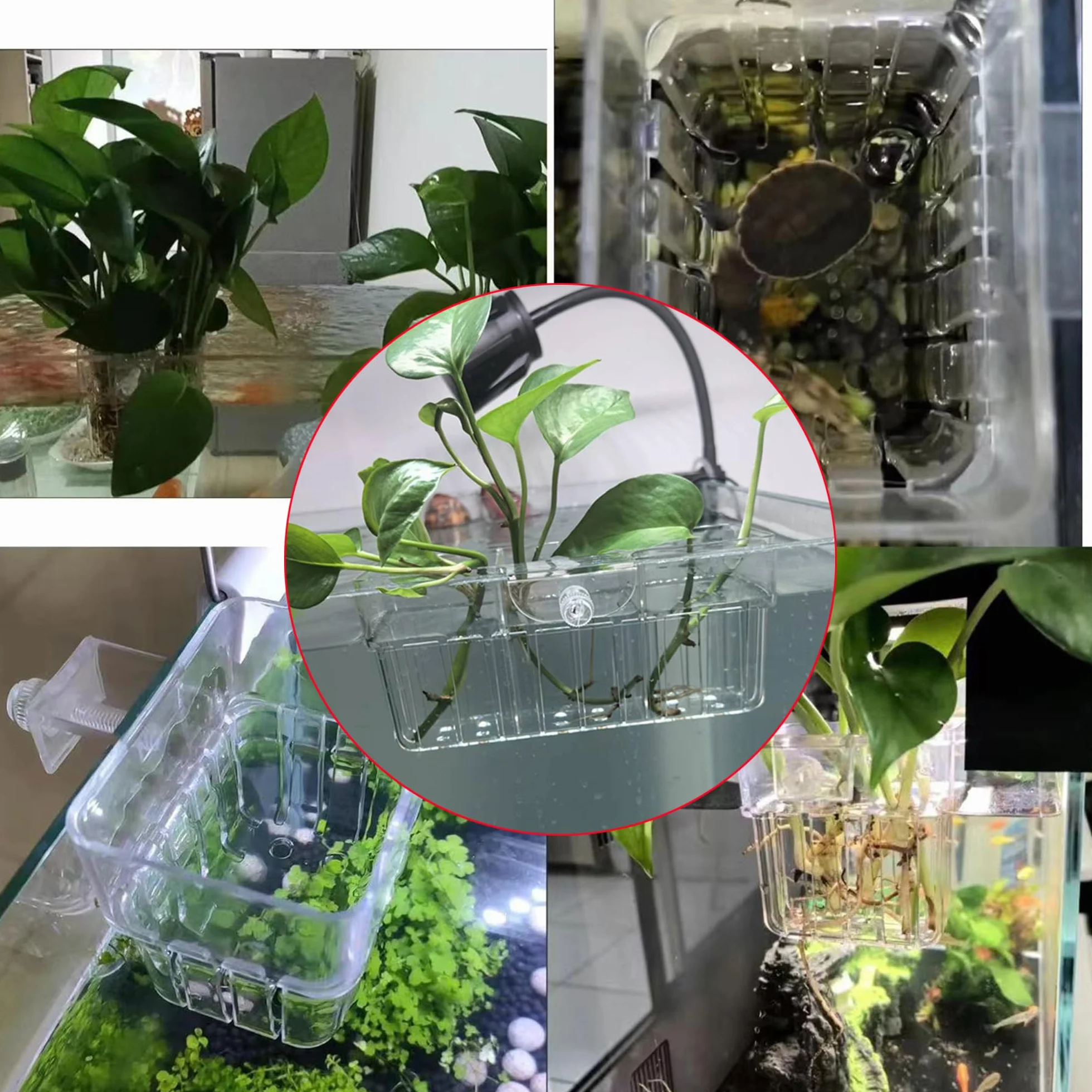 Lot de 2 supports de plantes d'aquarium à 3 cellules, support suspendu pour aquarium, décoration