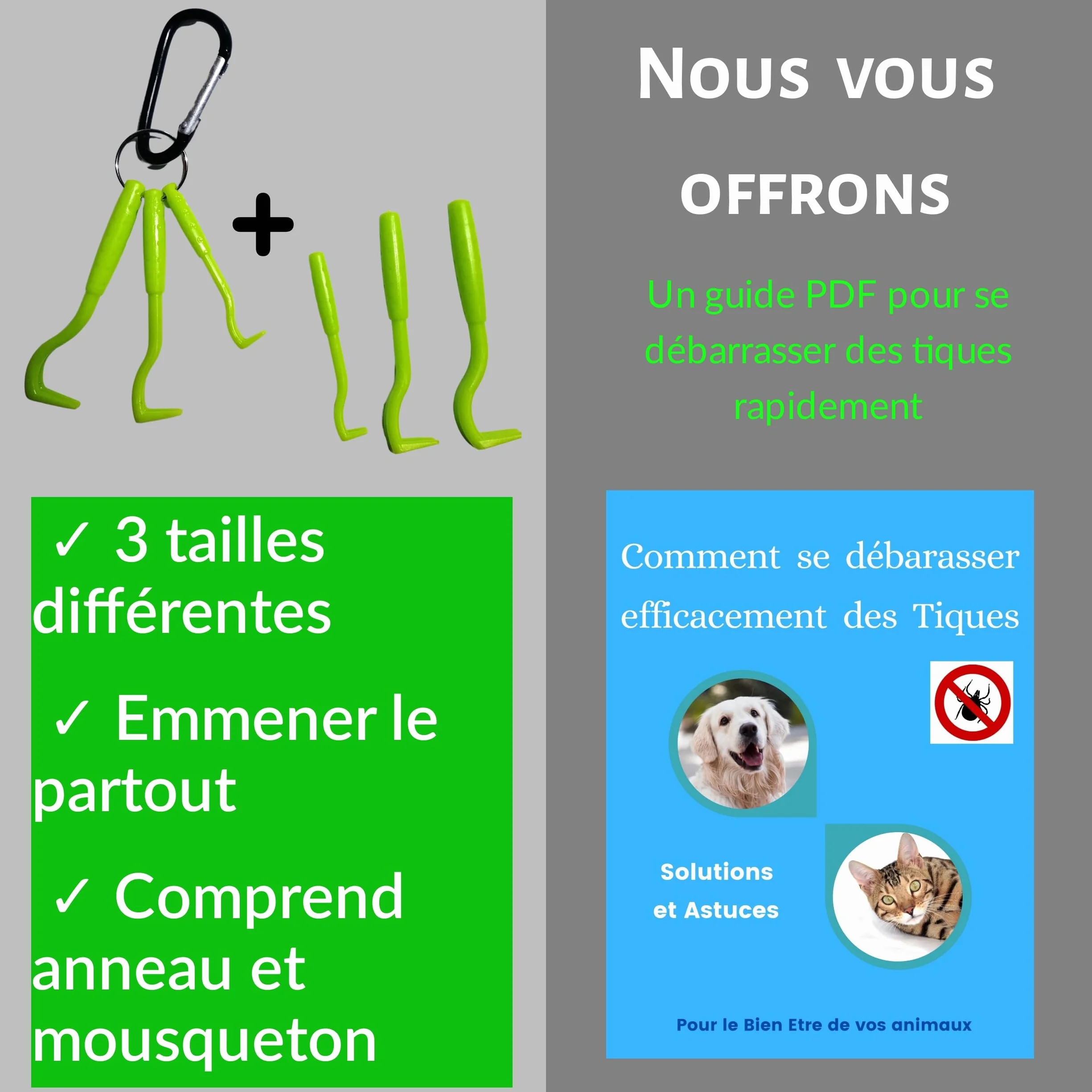 Tire Tique Pince à tique crochets anti tiques acier inoxydable pour chat chien humain Kit de 6 pièces