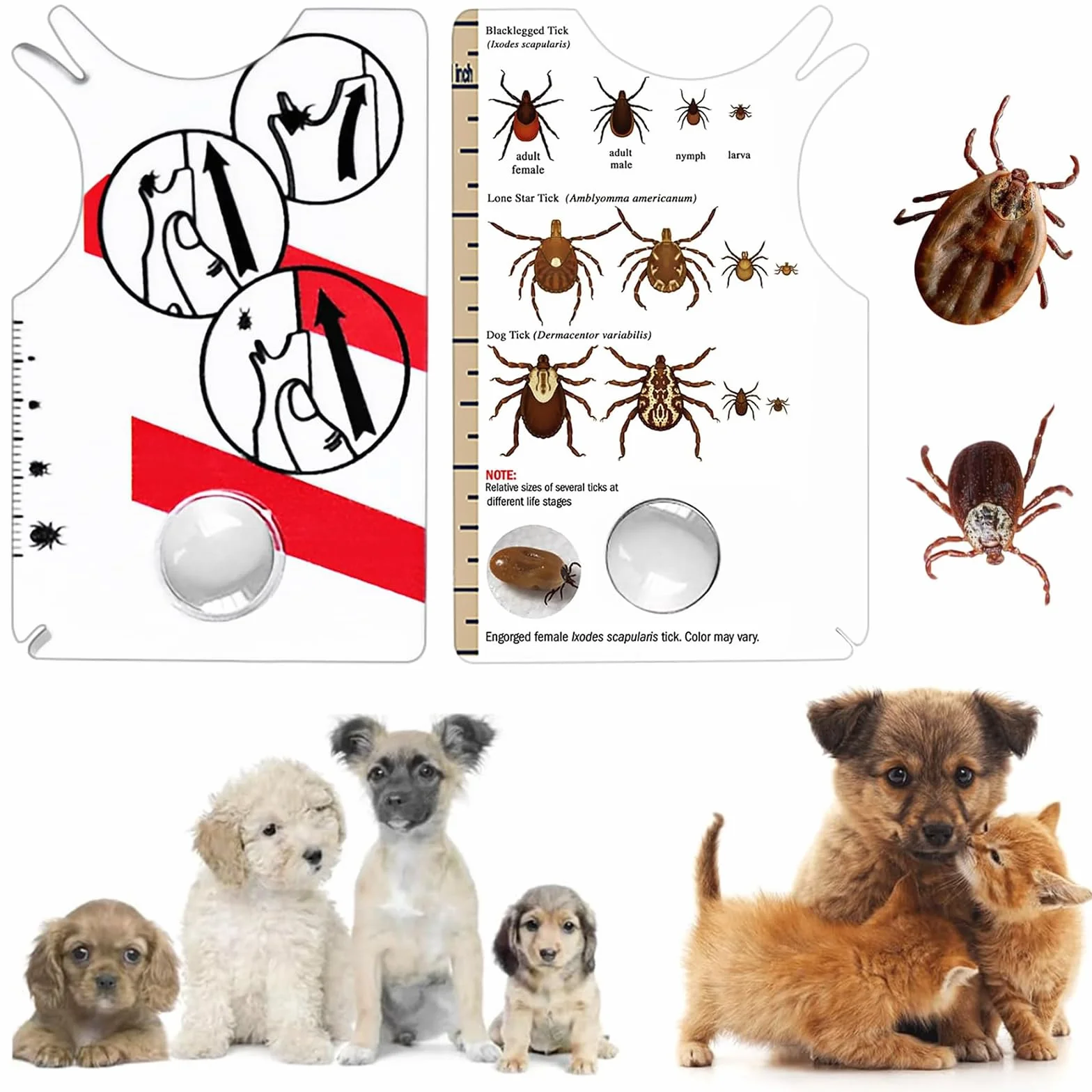 Carte à Tiques Homme & Enfants avec Loupe - Rapide Enlever Les Tiques pour Chien et Animal de Compagnie