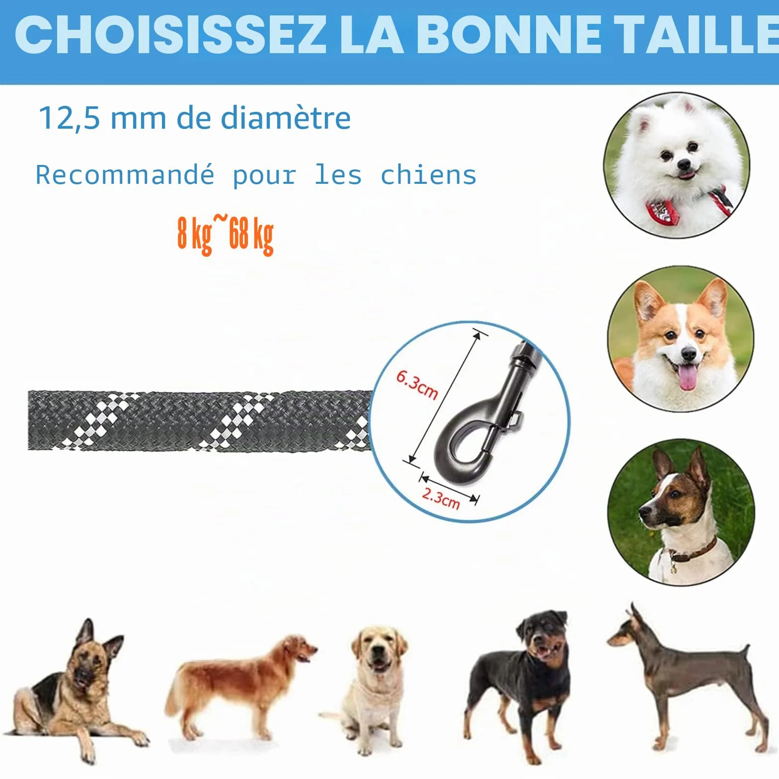 Laisse Chien 180cm Durable Poignée Double Fils Réfléchissants pour Chiens Petits Moyens Grands Noir