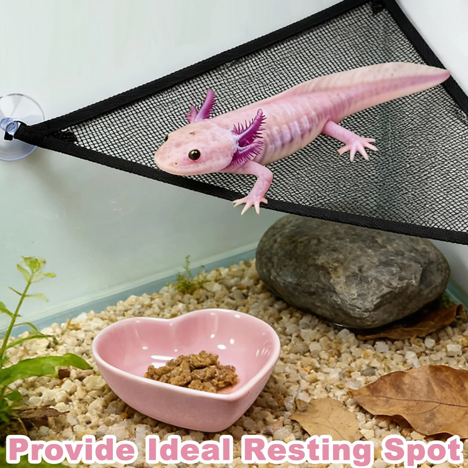 Axolotl Hamac pour aquarium avec gamelle, accessoires de réservoir Axolotl – Hamac en maille respirante pour reptiles avec plateau d'alimentation pour dragons barbu, geckos, lézards, serpents
