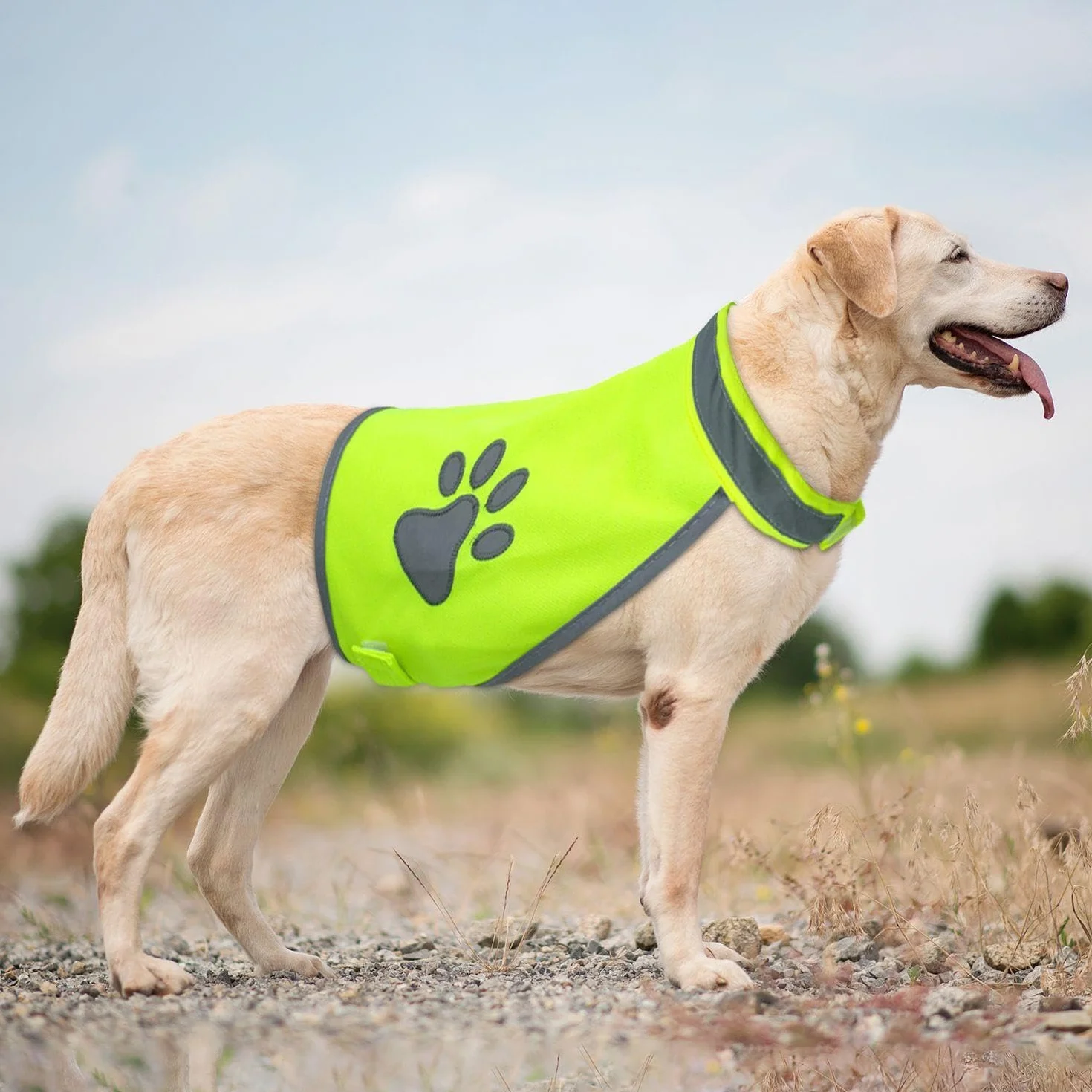 Vêtements Réfléchissants pour Chiens 2 Pièces Gilet de Sécurité de Voyage