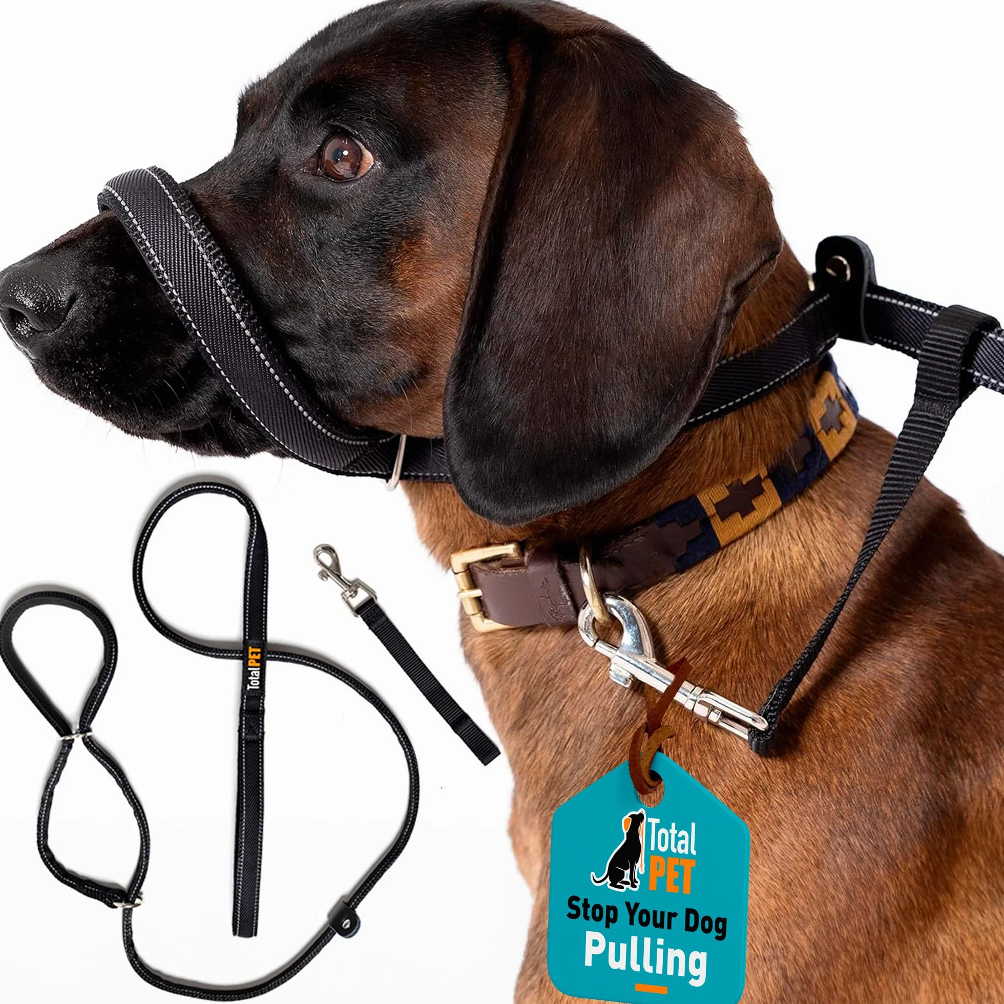 Laisses anti-traction réfléchissantes pour chien - Lot de 8 avec support de nez rembourré 210 cm