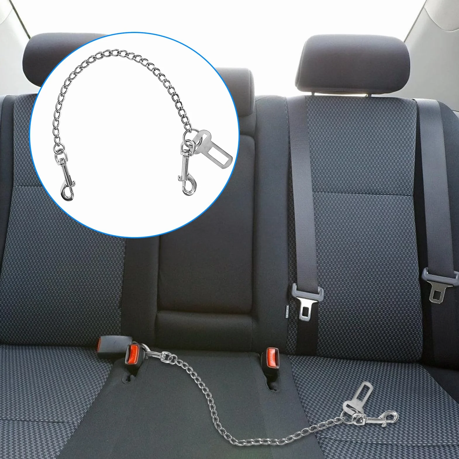 Collier en acier inoxydable 80 cm harnais de sécurité pour chiens de petite taille