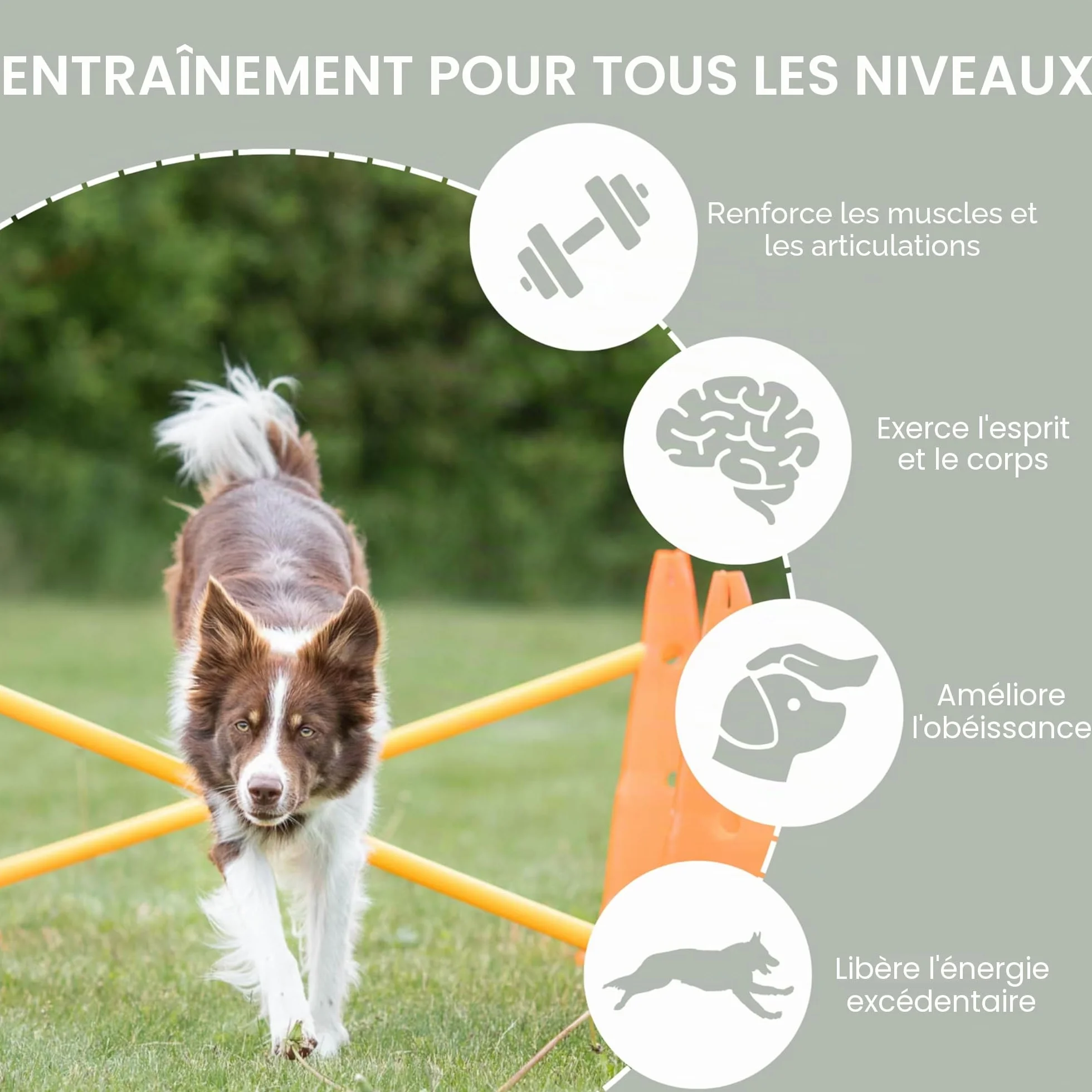 Trixie Set d’Obstacles à cônes - Accessoire d’entraînement résistant pour Agility Canine - ø 23 × 30 cm/78 cm Orange/Jaune, équipement de Sport canin pour la Maison